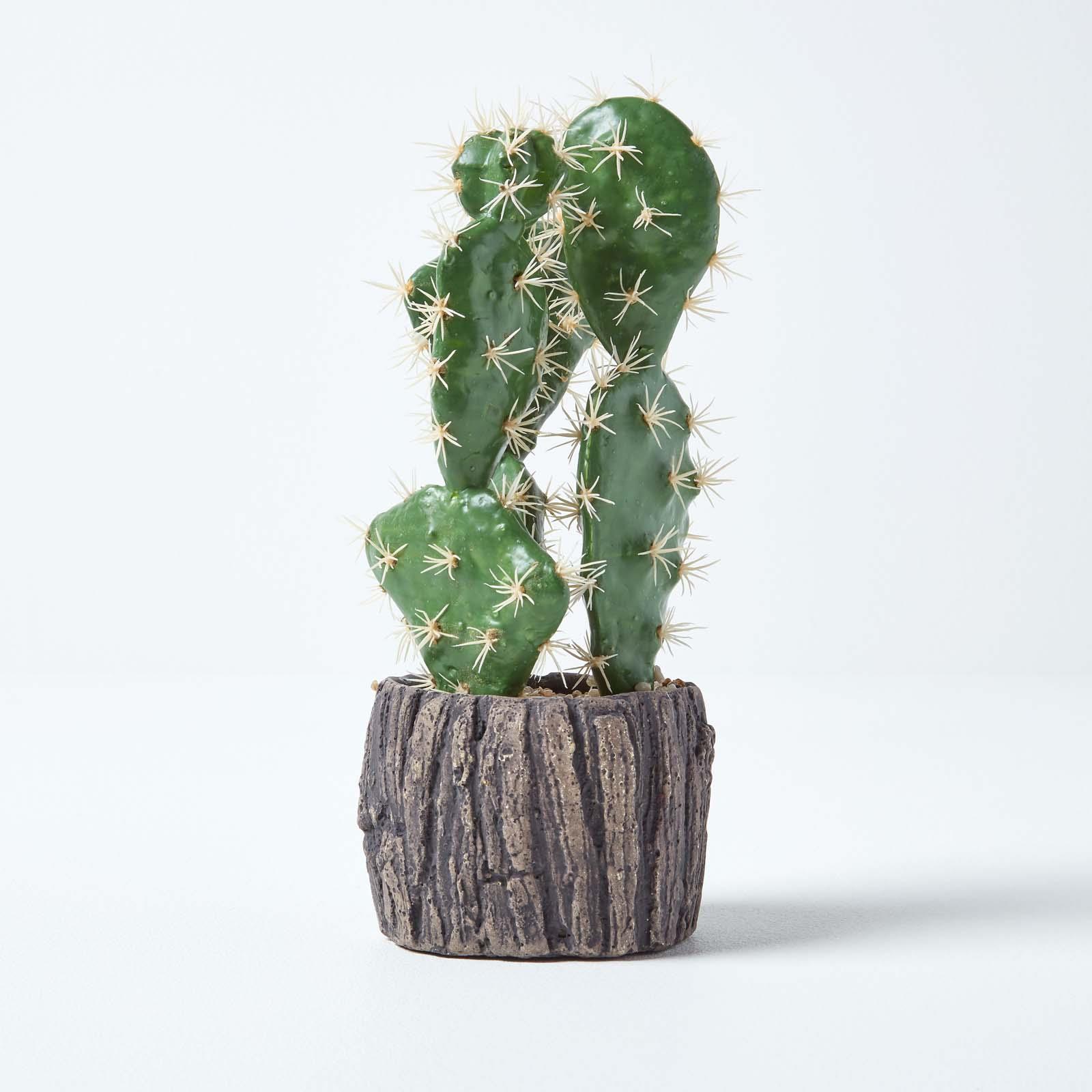 Artificial Succulent Plant Cactus/Cacti in Decorative Pot For Home/Office Décor - Picture 162 of 200