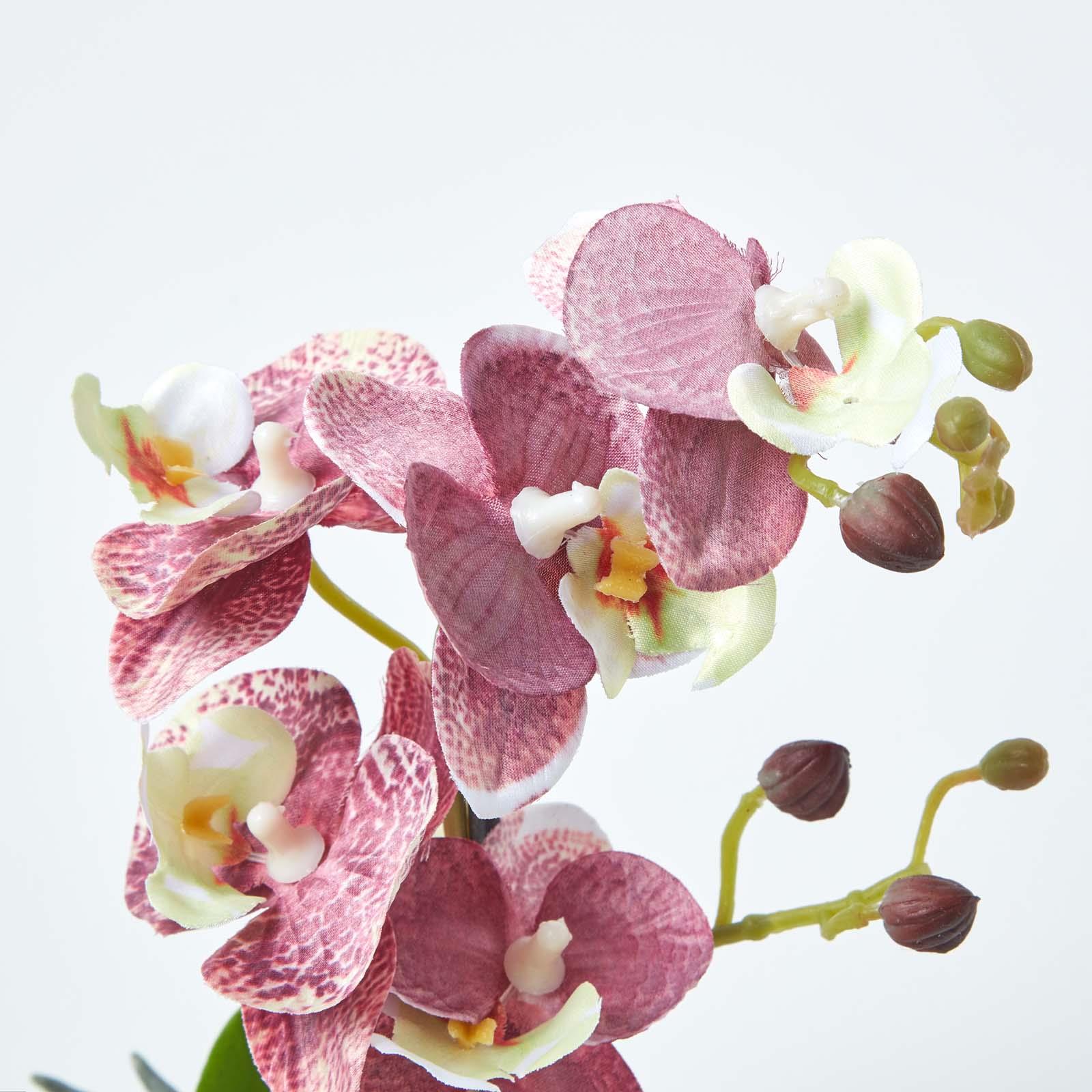 Artificial Phalaenopsis Orchid Flower with Lifelike Leaves in Decorative Pots eBay