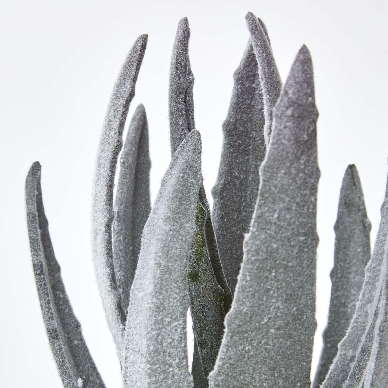 Artificial Succulent Plant Cactus/Cacti in Decorative Pot For Home/Office Décor - Picture 11 of 200