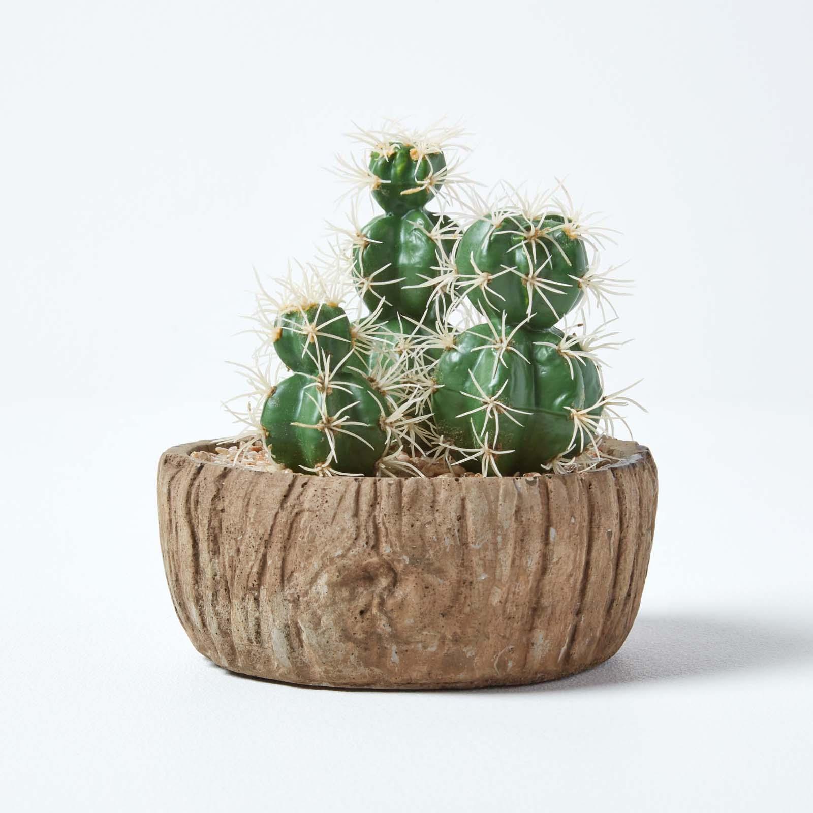 Artificial Succulent Plant Cactus/Cacti in Decorative Pot For Home/Office Décor - Picture 52 of 200