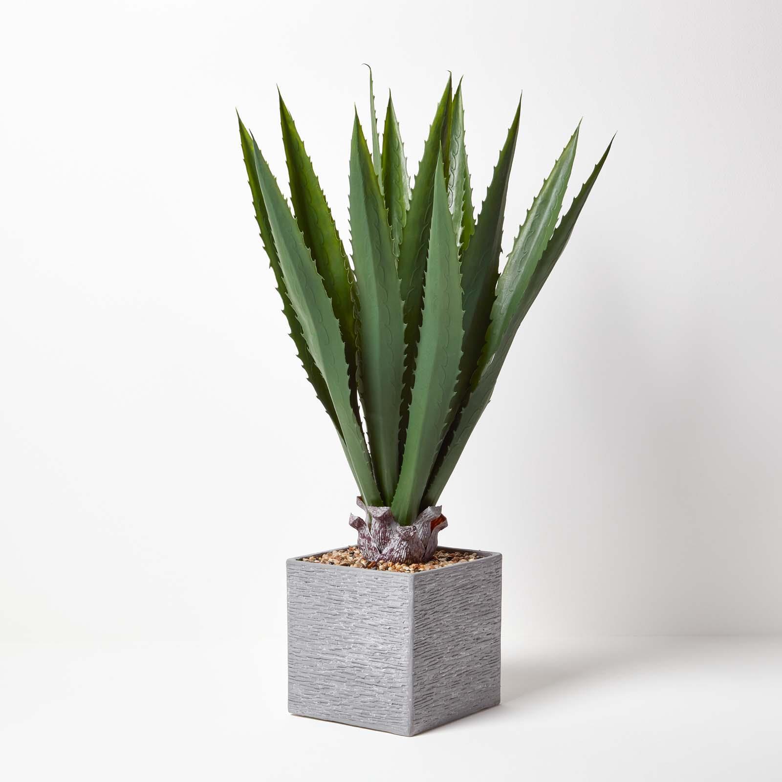 Artificial Succulent Plant Cactus/Cacti in Decorative Pot For Home/Office Décor - Picture 2 of 200
