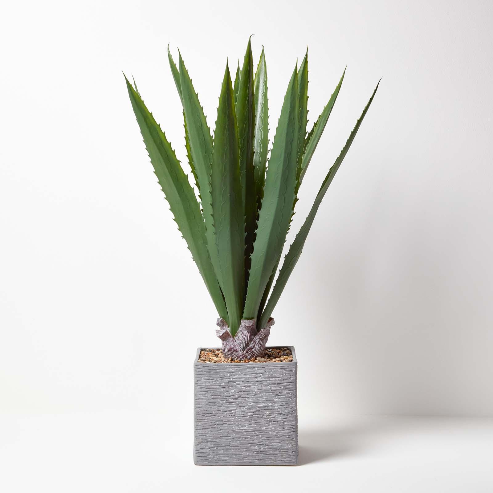 Artificial Succulent Plant Cactus/Cacti in Decorative Pot For Home/Office Décor - Picture 6 of 200