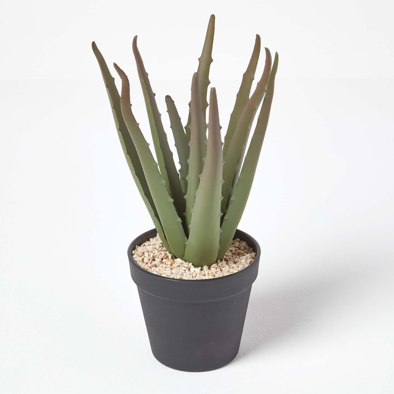 Artificial Succulent Plant Cactus/Cacti in Decorative Pot For Home/Office Décor - Picture 13 of 200