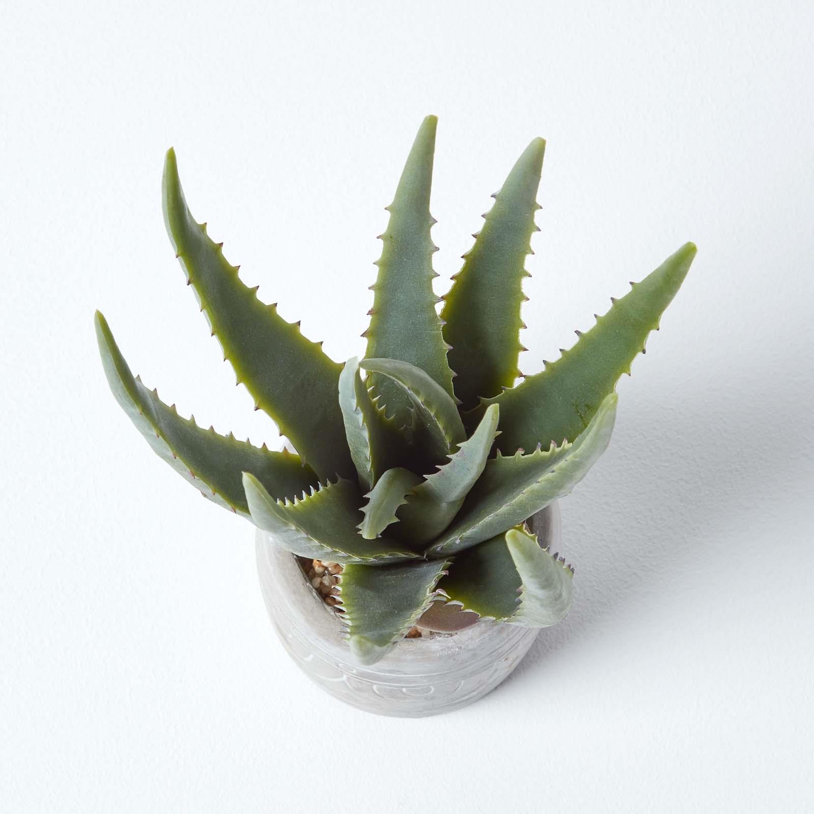Artificial Succulent Plant Cactus/Cacti in Decorative Pot For Home/Office Décor - Picture 21 of 200