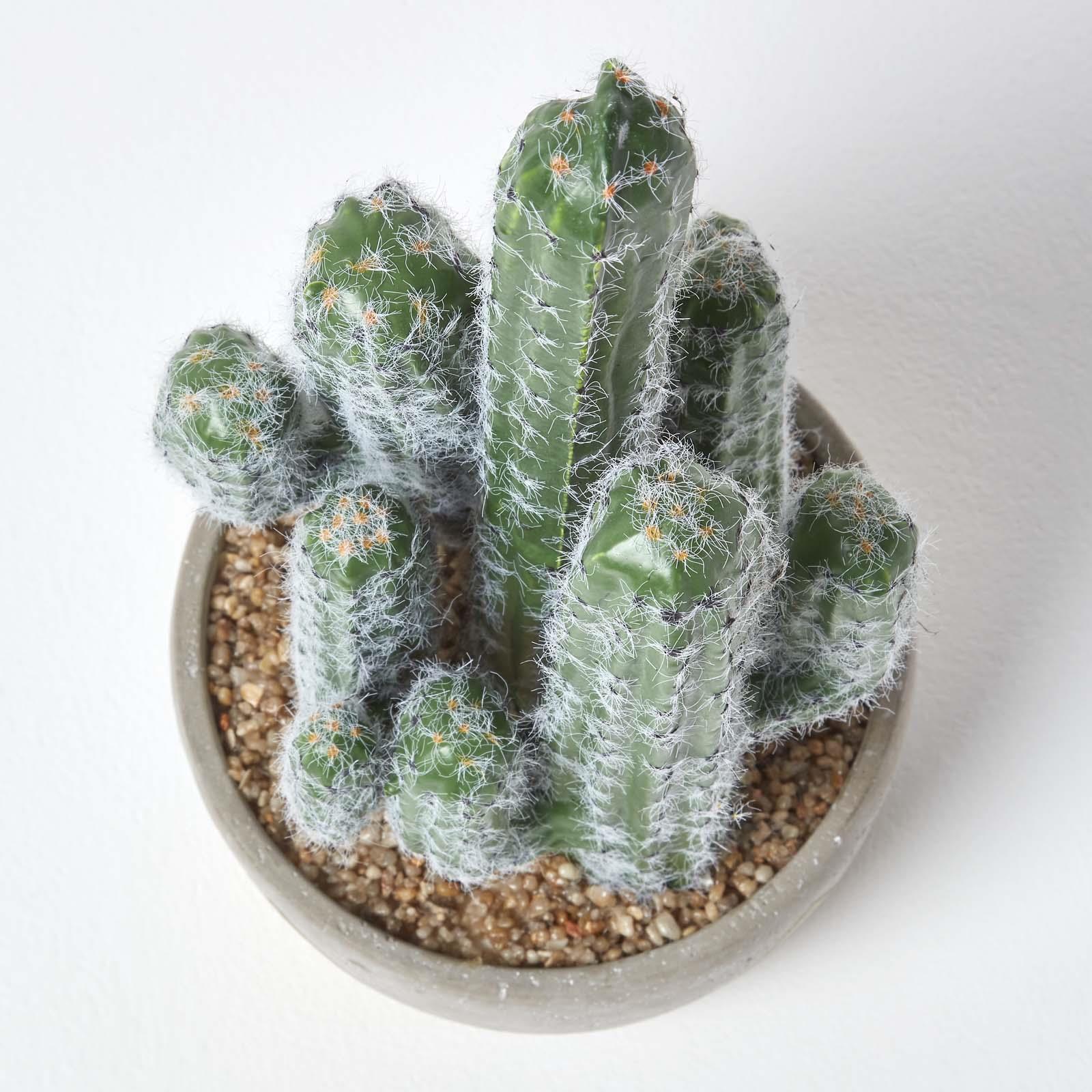 Artificial Succulent Plant Cactus/Cacti in Decorative Pot For Home/Office Décor - Picture 99 of 200