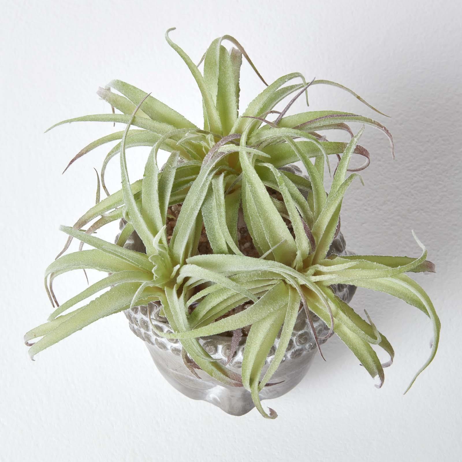 Artificial Succulent Plant Cactus/Cacti in Decorative Pot For Home/Office Décor - Picture 67 of 200
