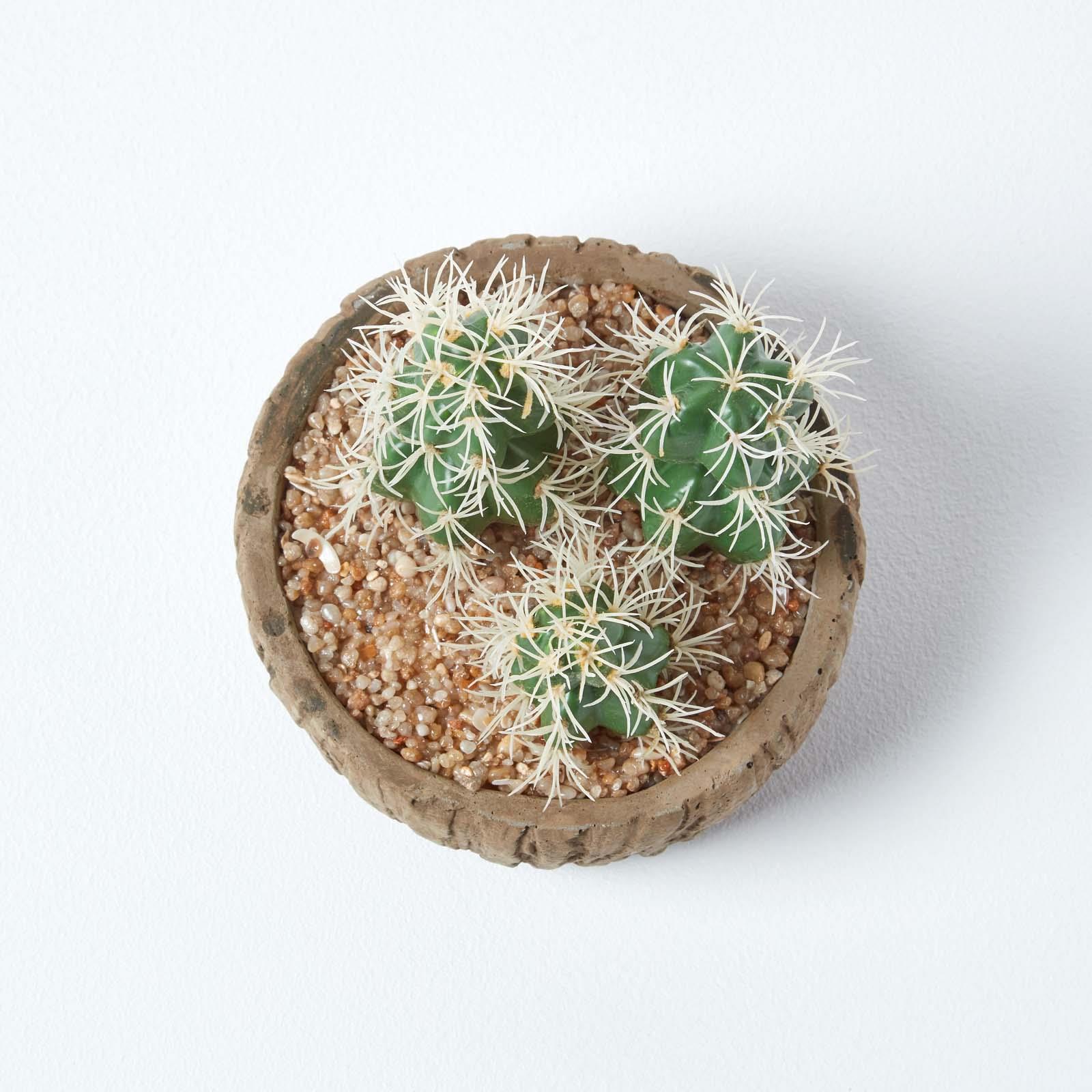 Artificial Succulent Plant Cactus/Cacti in Decorative Pot For Home/Office Décor - Picture 54 of 200
