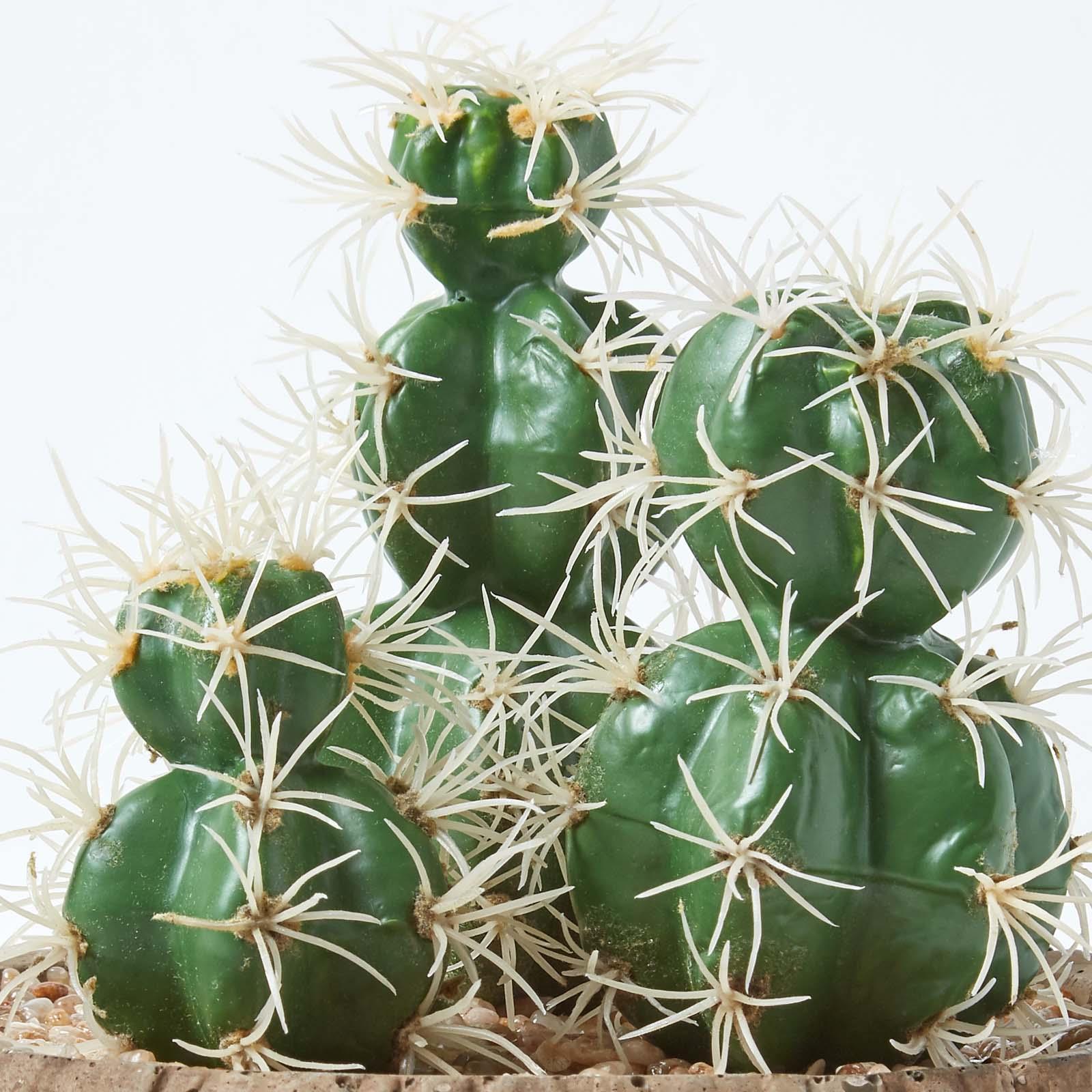 Artificial Succulent Plant Cactus/Cacti in Decorative Pot For Home/Office Décor - Picture 56 of 200