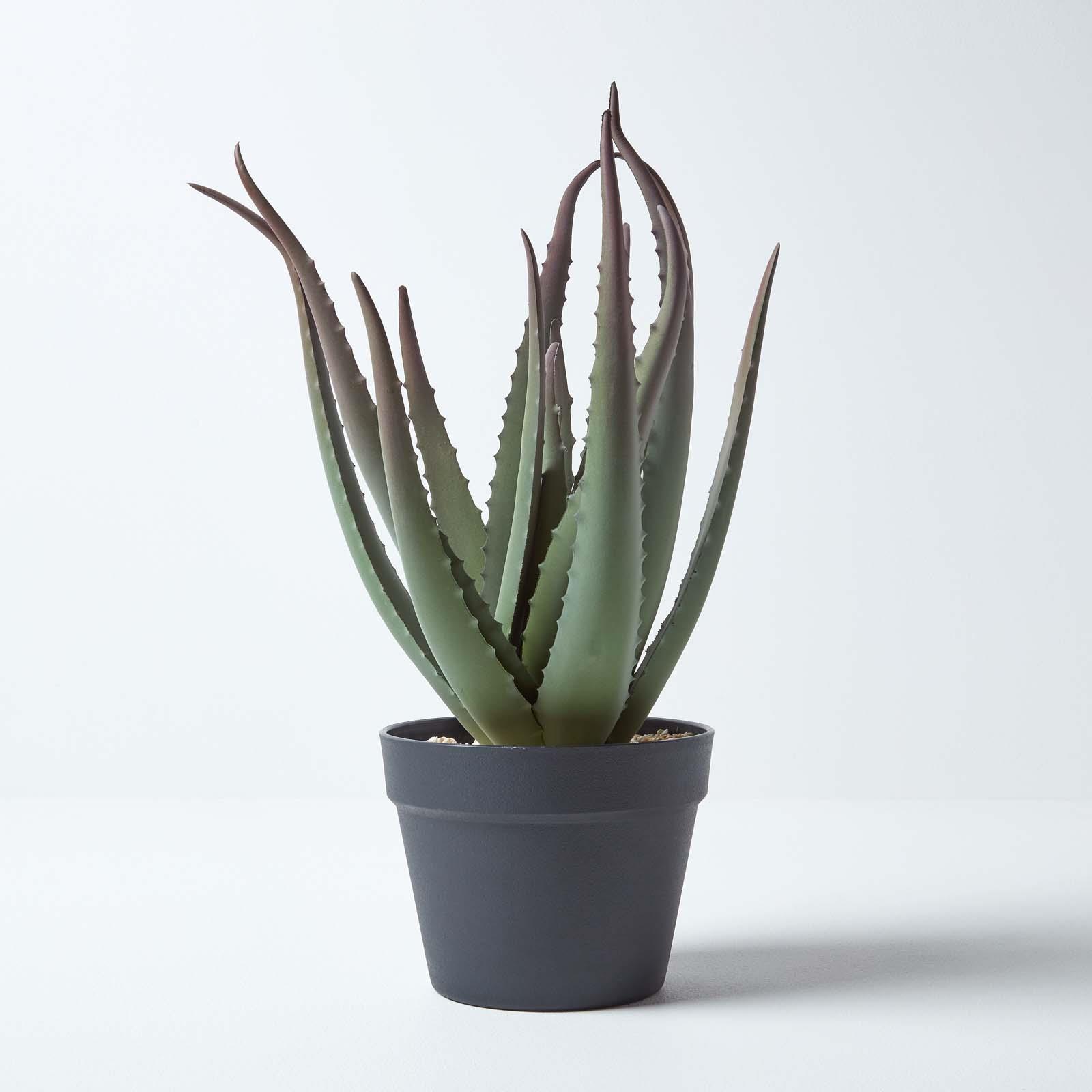 Artificial Succulent Plant Cactus/Cacti in Decorative Pot For Home/Office Décor - Picture 30 of 200