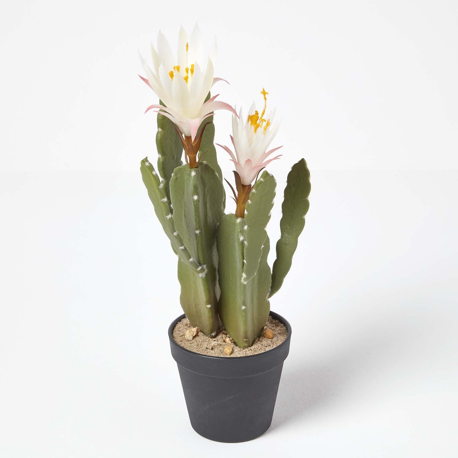 Artificial Succulent Plant Cactus/Cacti in Decorative Pot For Home/Office Décor - Picture 185 of 200