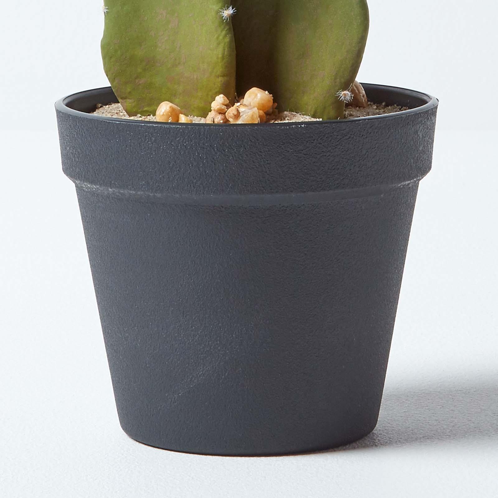 Artificial Succulent Plant Cactus/Cacti in Decorative Pot For Home/Office Décor - Picture 189 of 200