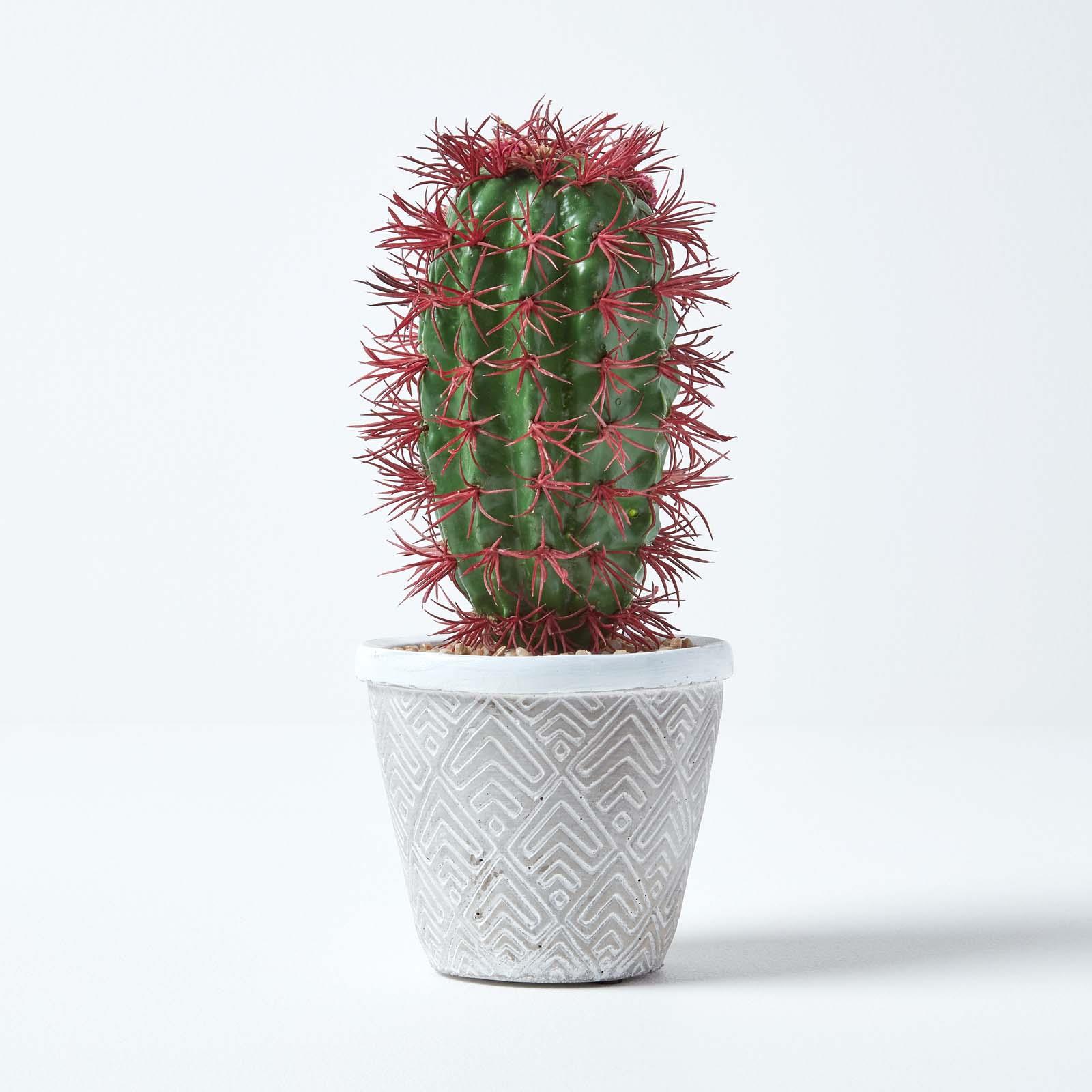 Artificial Succulent Plant Cactus/Cacti in Decorative Pot For Home/Office Décor - Picture 50 of 200