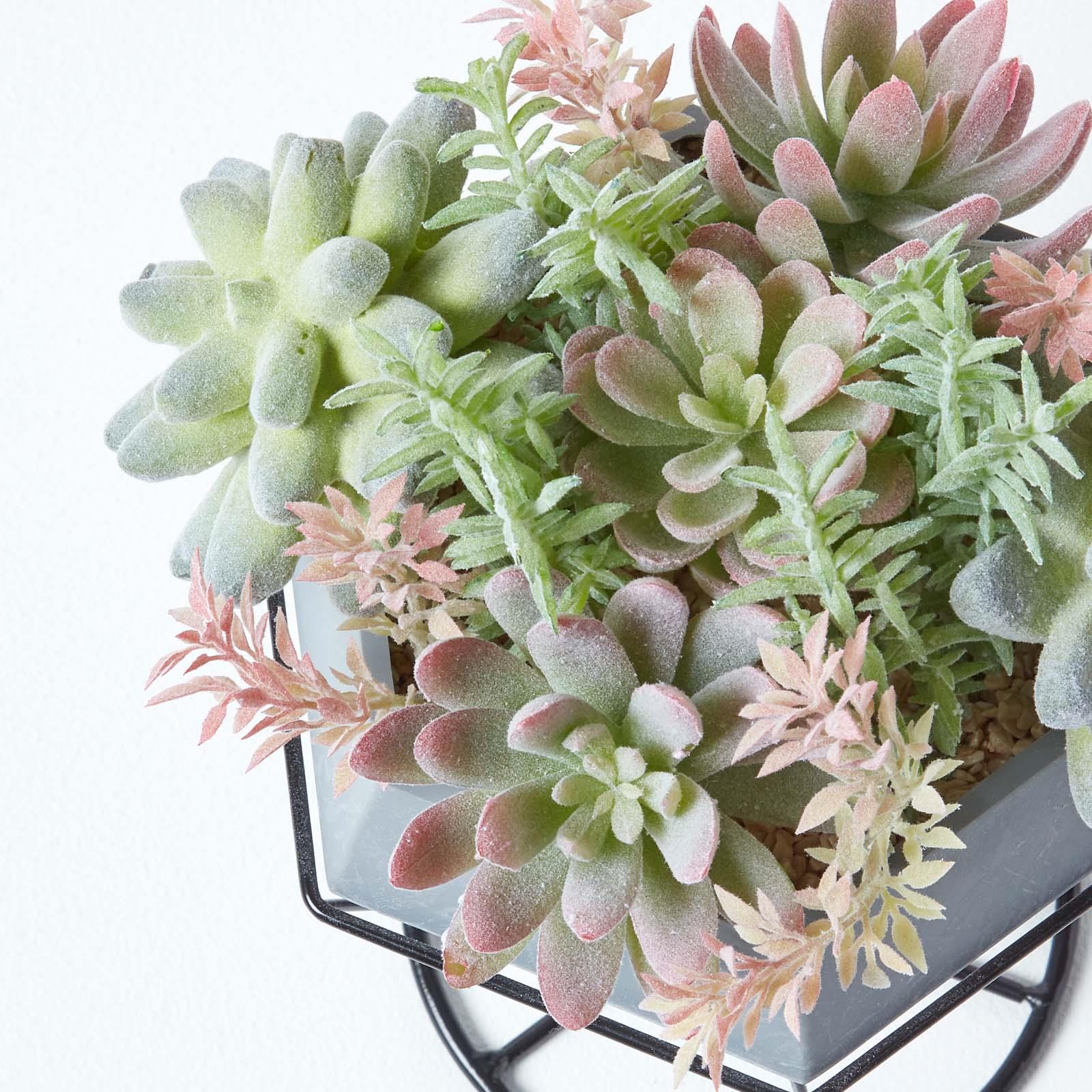 Artificial Succulent Plant Cactus/Cacti in Decorative Pot For Home/Office Décor - Picture 35 of 200