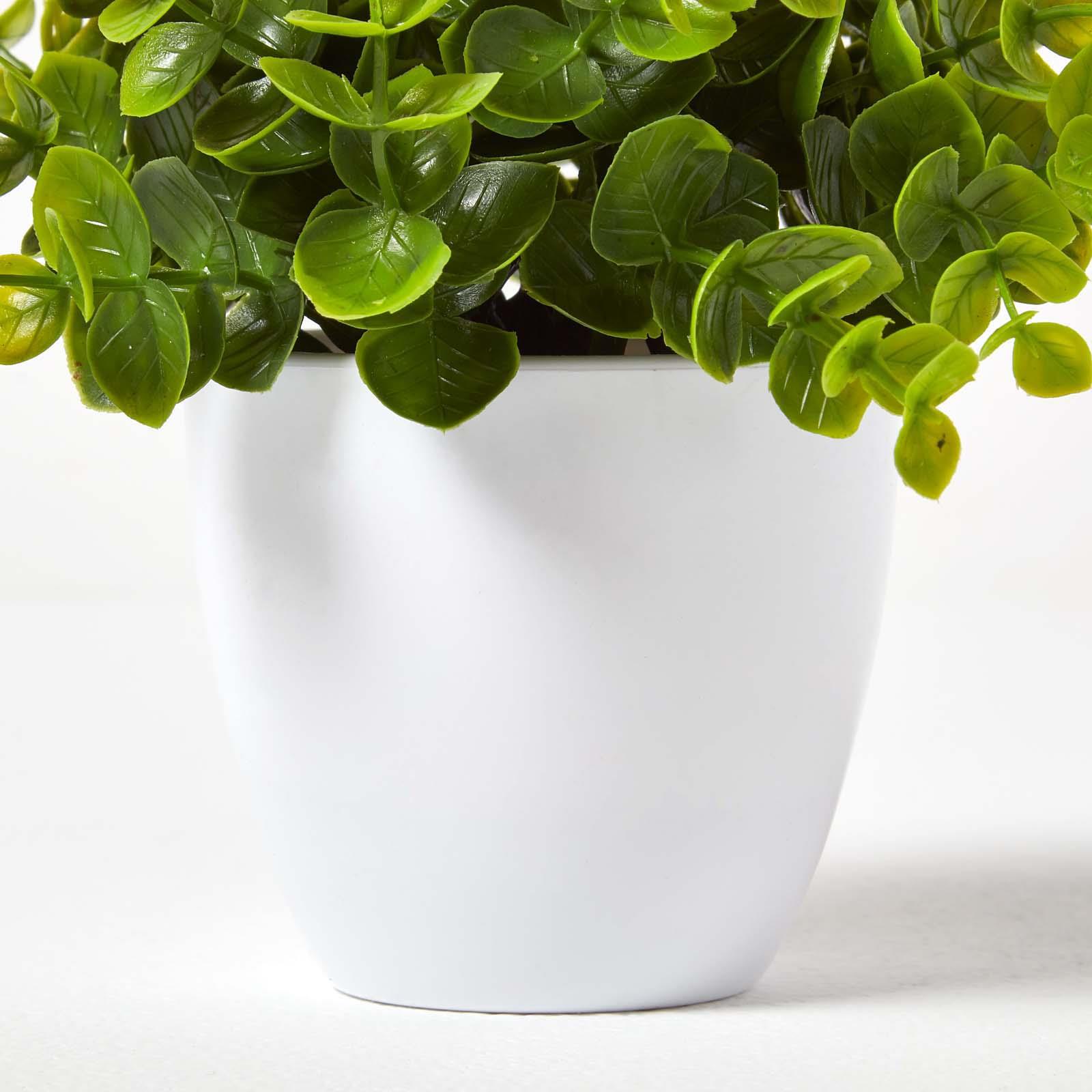 Artificial Succulent Plant Cactus/Cacti in Decorative Pot For Home/Office Décor - Picture 146 of 200