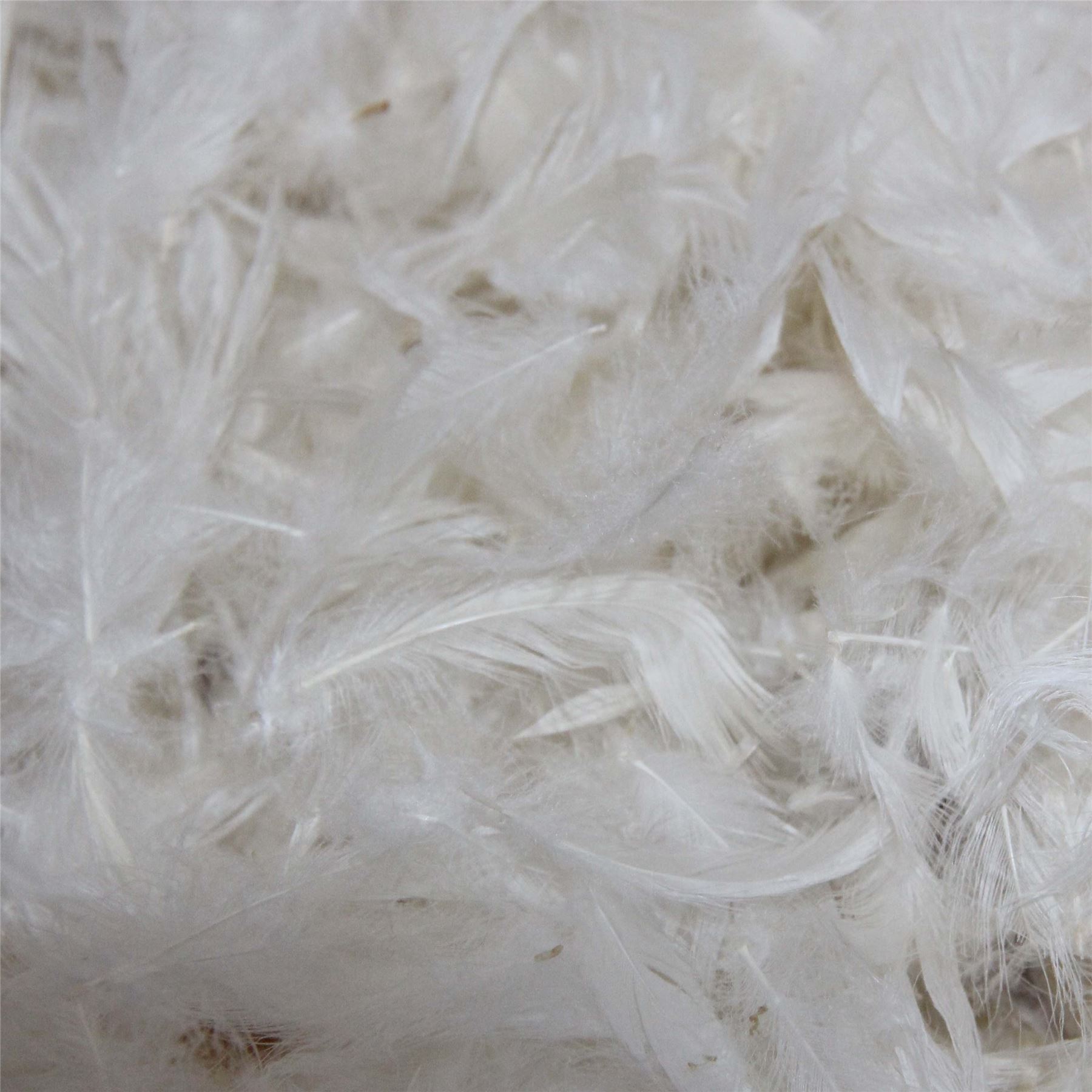 Duck Feather & Microfibre Stuffing Material for Filling Cushions