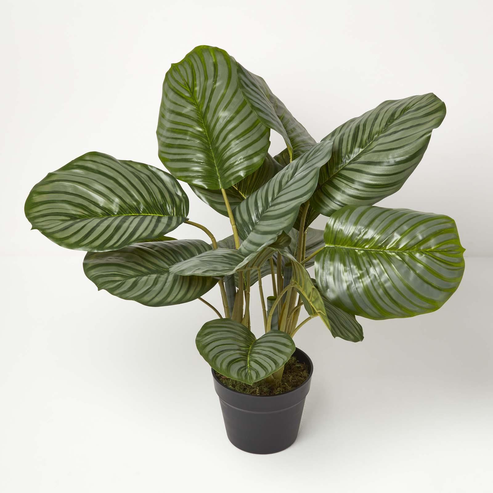 Realistic Artificial Palm Tree Ficus Plant Tropical Potted Plants Indoor Outdoor - Picture 8 of 67