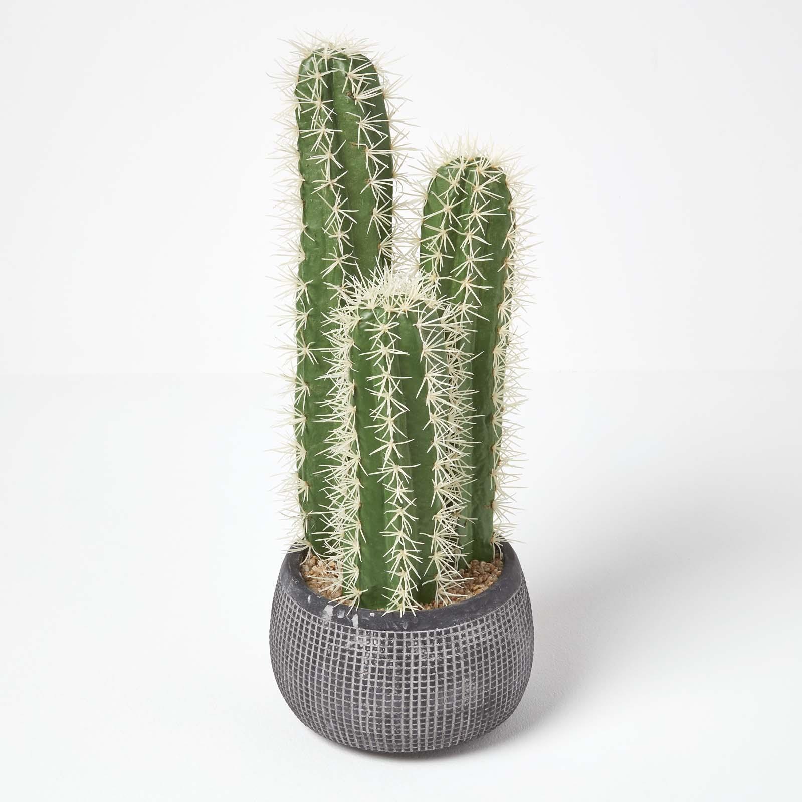 Artificial Succulent Plant Cactus/Cacti in Decorative Pot For Home/Office Décor - Picture 137 of 200