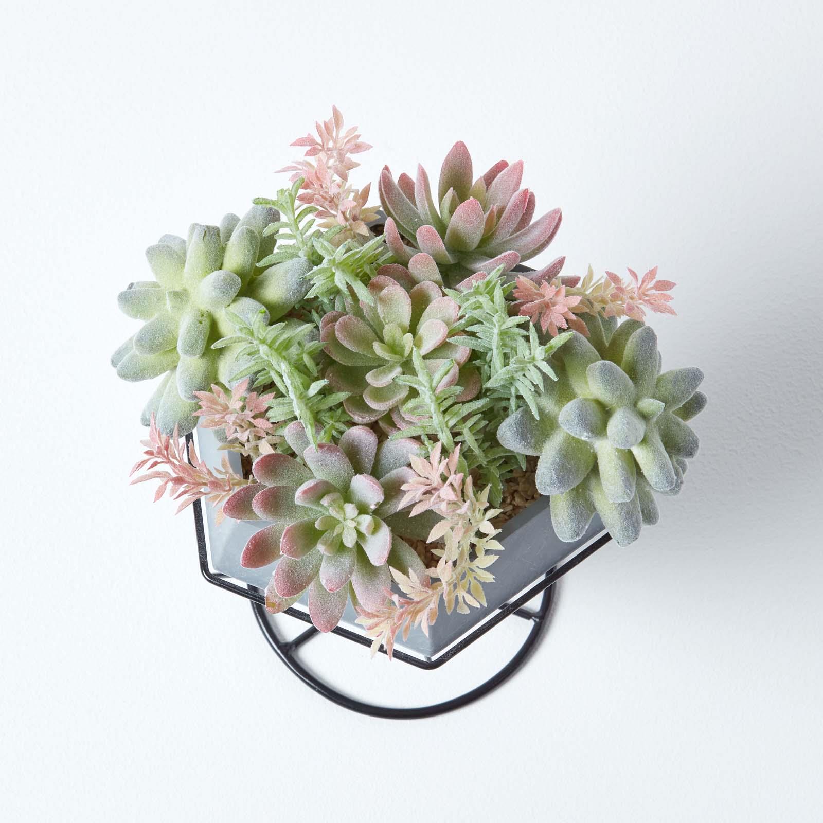 Artificial Succulent Plant Cactus/Cacti in Decorative Pot For Home/Office Décor - Picture 33 of 200