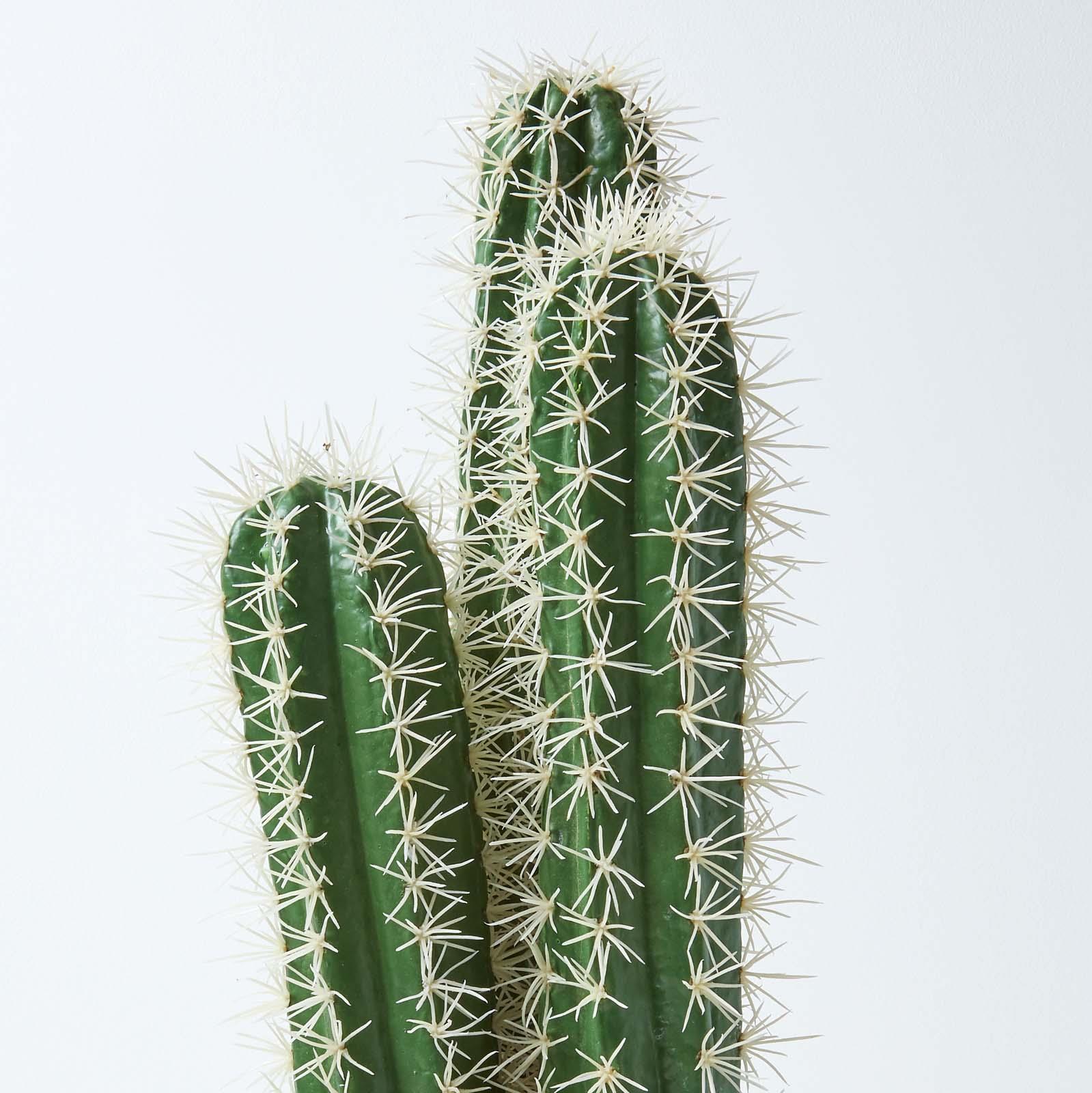 Artificial Succulent Plant Cactus/Cacti in Decorative Pot For Home/Office Décor - Picture 141 of 200