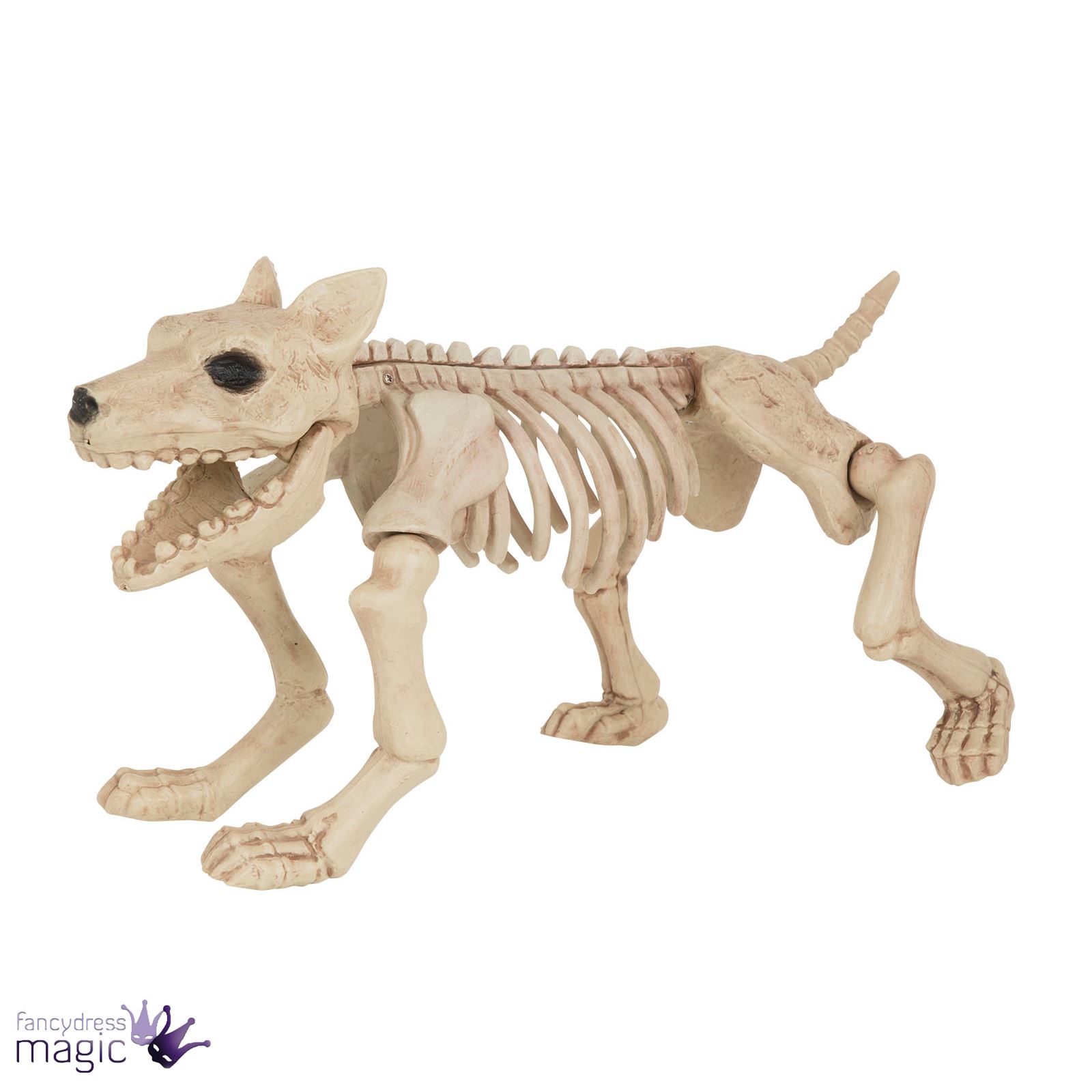 halloween dog cat rat bird skeleton decoration animal