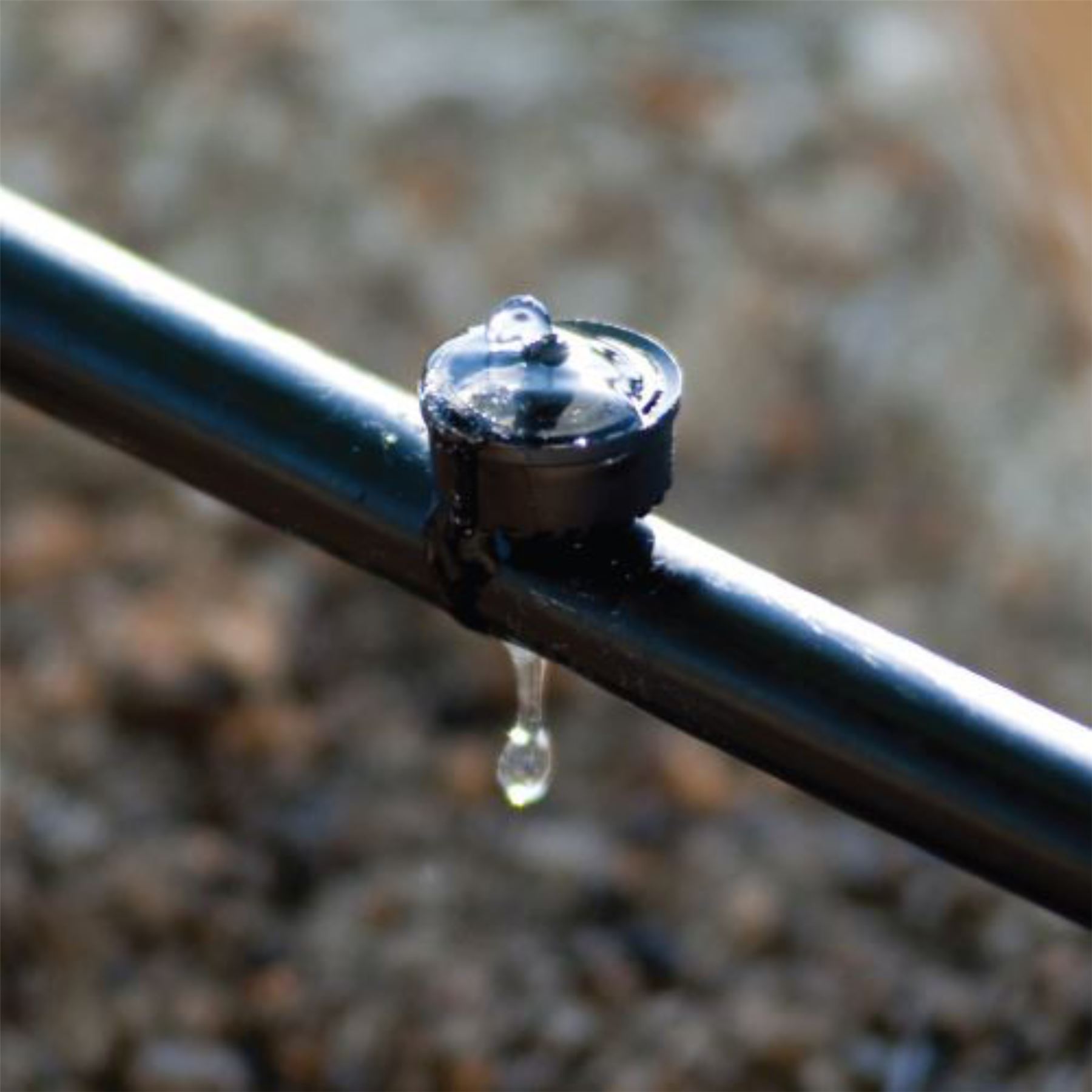 Micro Irrigation button dripper 4mm fit Antelco Hozelock watering eBay