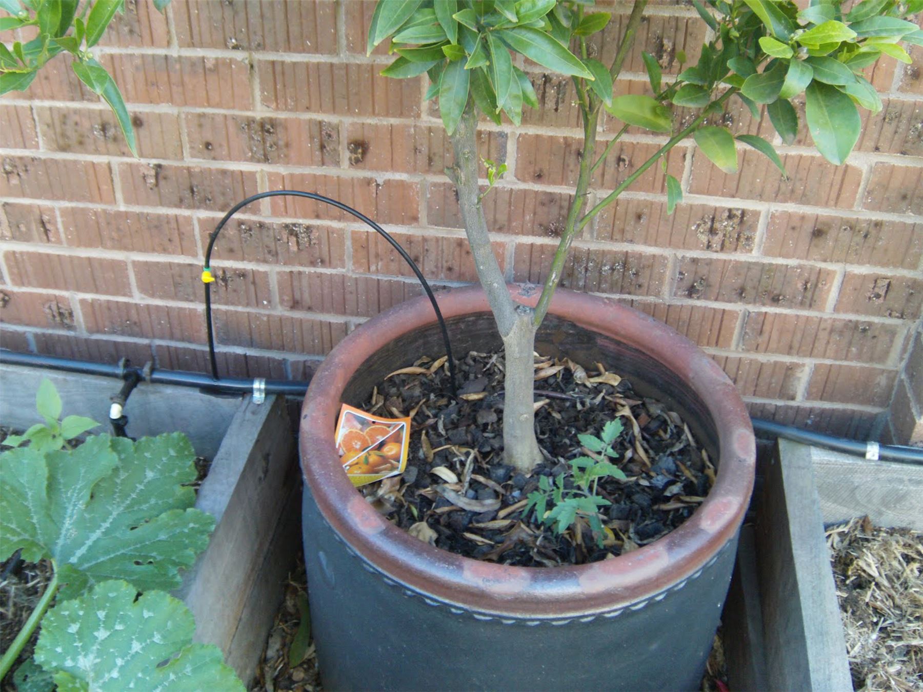 13mm ID (16mm OD) Black Irrigation pipe plus fittings eBay