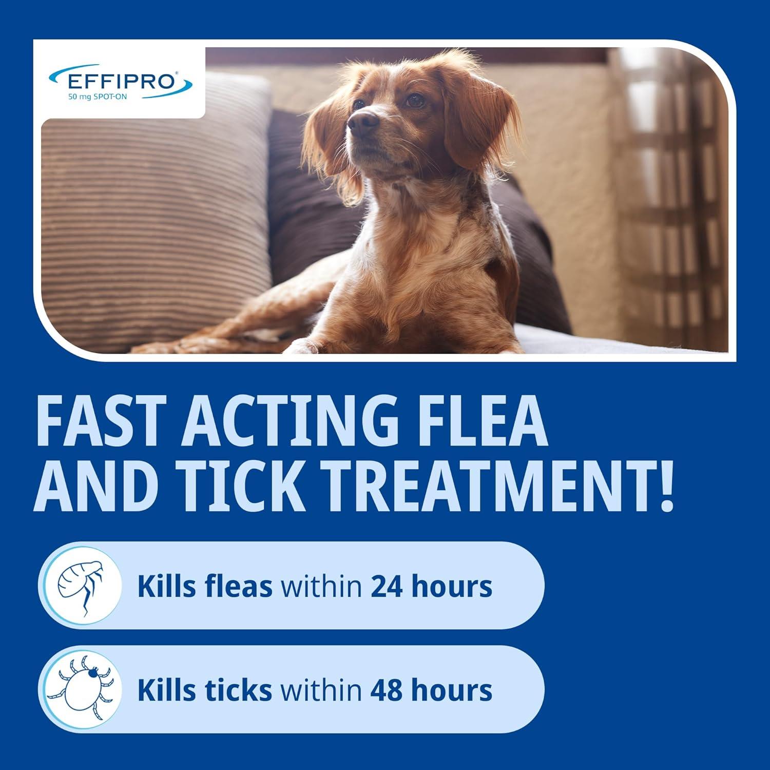 Spot On Flea Treatment AVM-GSL For Pets Cats & Dogs 4 Pipettes With Fipronil - Picture 26 of 61