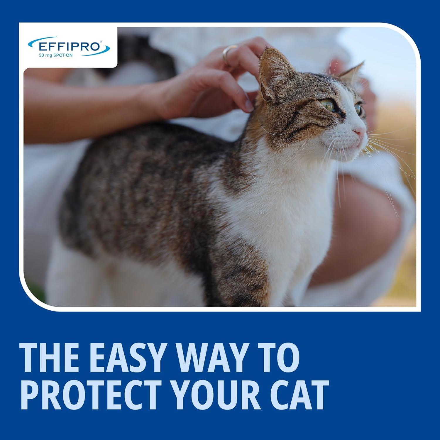 Spot On Flea Treatment AVM-GSL For Pets Cats & Dogs 4 Pipettes With Fipronil - Picture 12 of 61