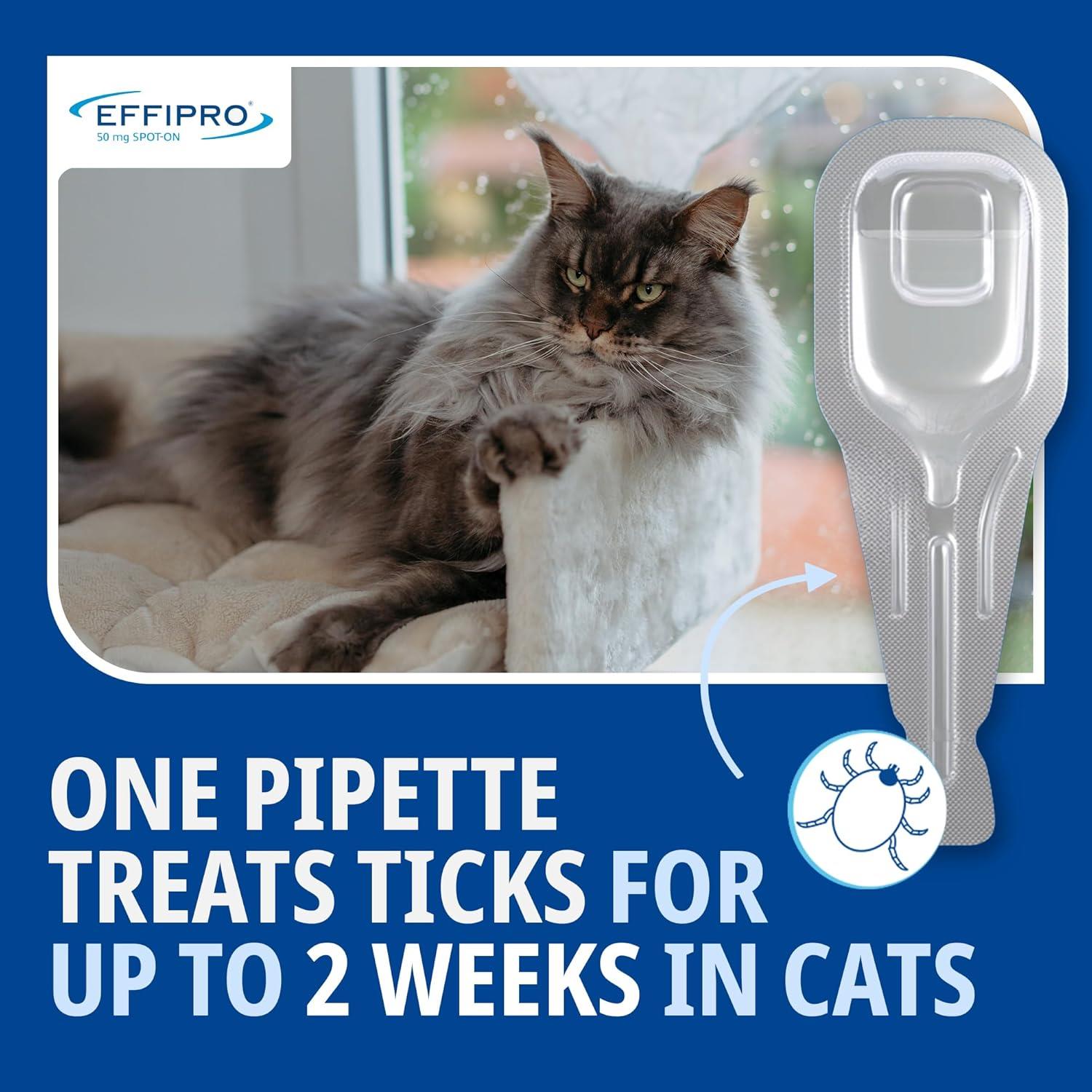 Spot On Flea Treatment AVM-GSL For Pets Cats & Dogs 4 Pipettes With Fipronil - Picture 14 of 61