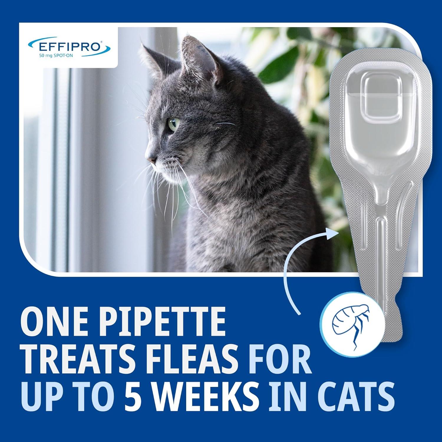 Spot On Flea Treatment AVM-GSL For Pets Cats & Dogs 4 Pipettes With Fipronil - Picture 15 of 61