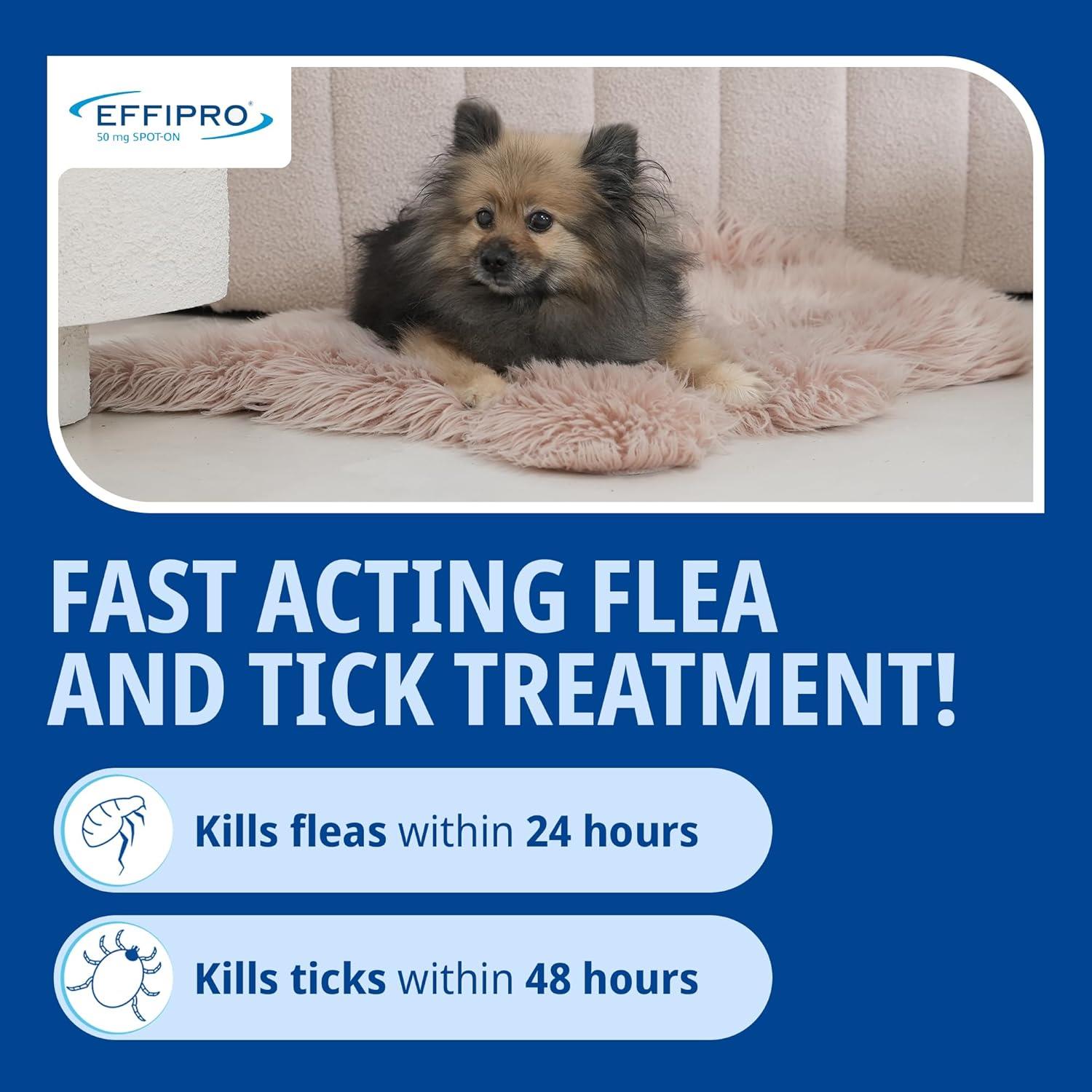 Spot On Flea Treatment AVM-GSL For Pets Cats & Dogs 4 Pipettes With Fipronil - Picture 19 of 61