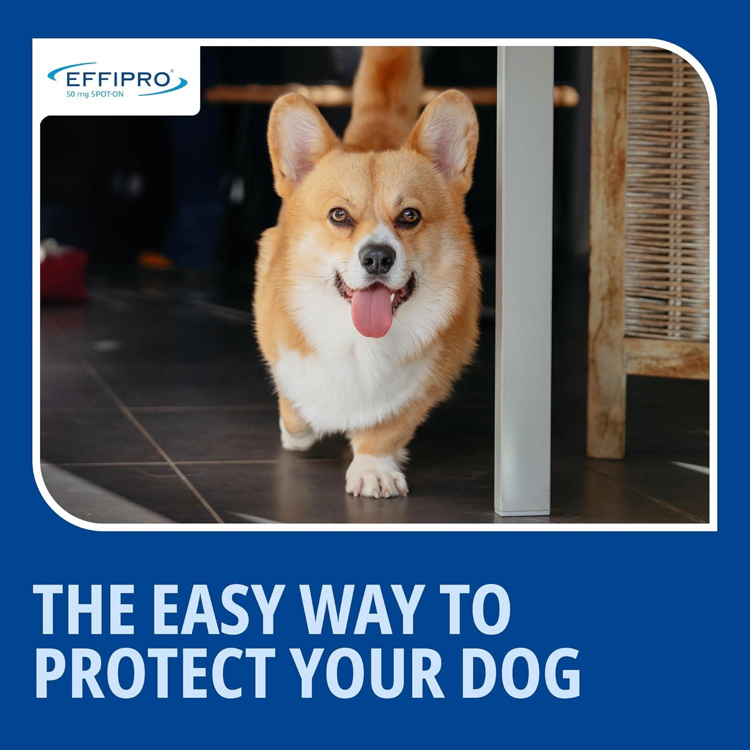 Spot On Flea Treatment AVM-GSL For Pets Cats & Dogs 4 Pipettes With Fipronil - Picture 20 of 61