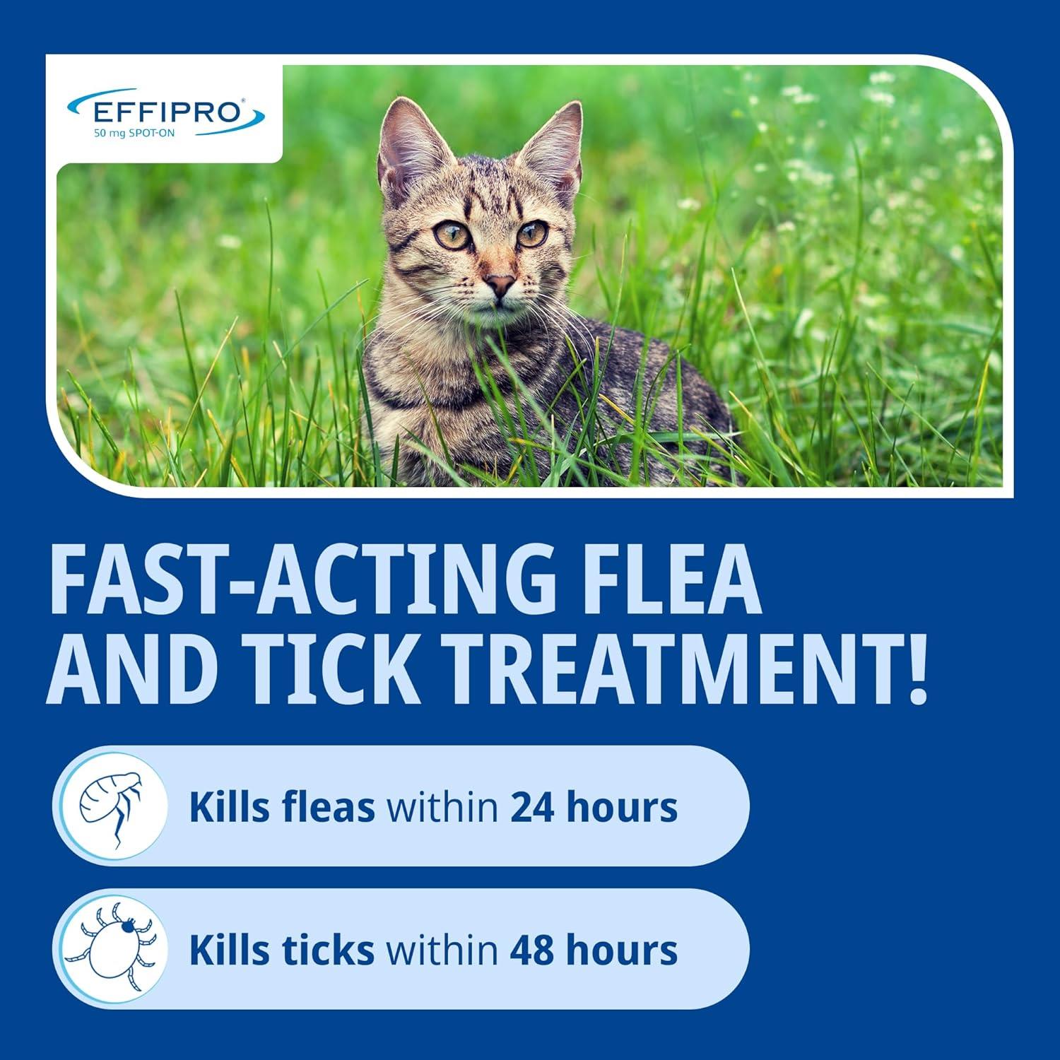 Spot On Flea Treatment AVM-GSL For Pets Cats & Dogs 4 Pipettes With Fipronil - Picture 16 of 61