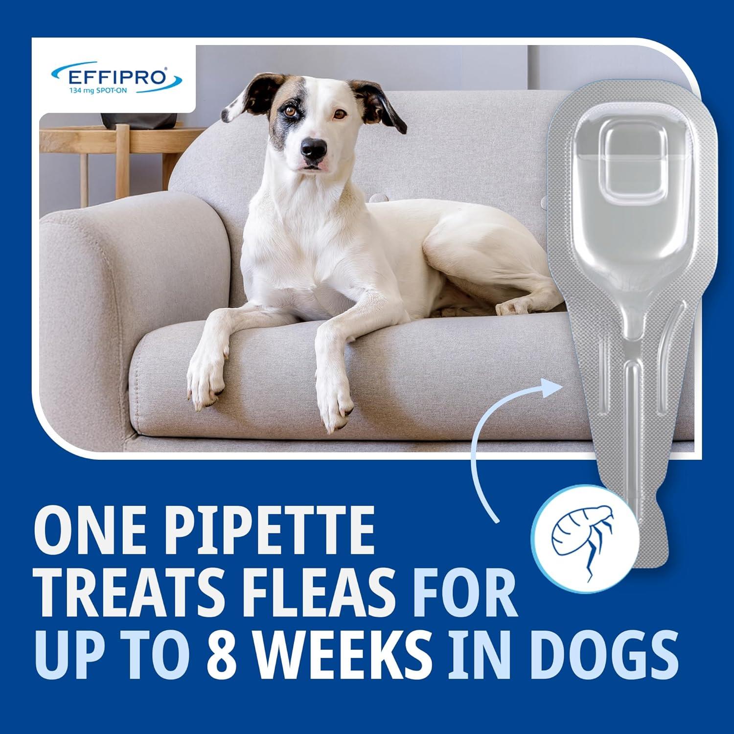 Spot On Flea Treatment AVM-GSL For Pets Cats & Dogs 4 Pipettes With Fipronil - Picture 28 of 61
