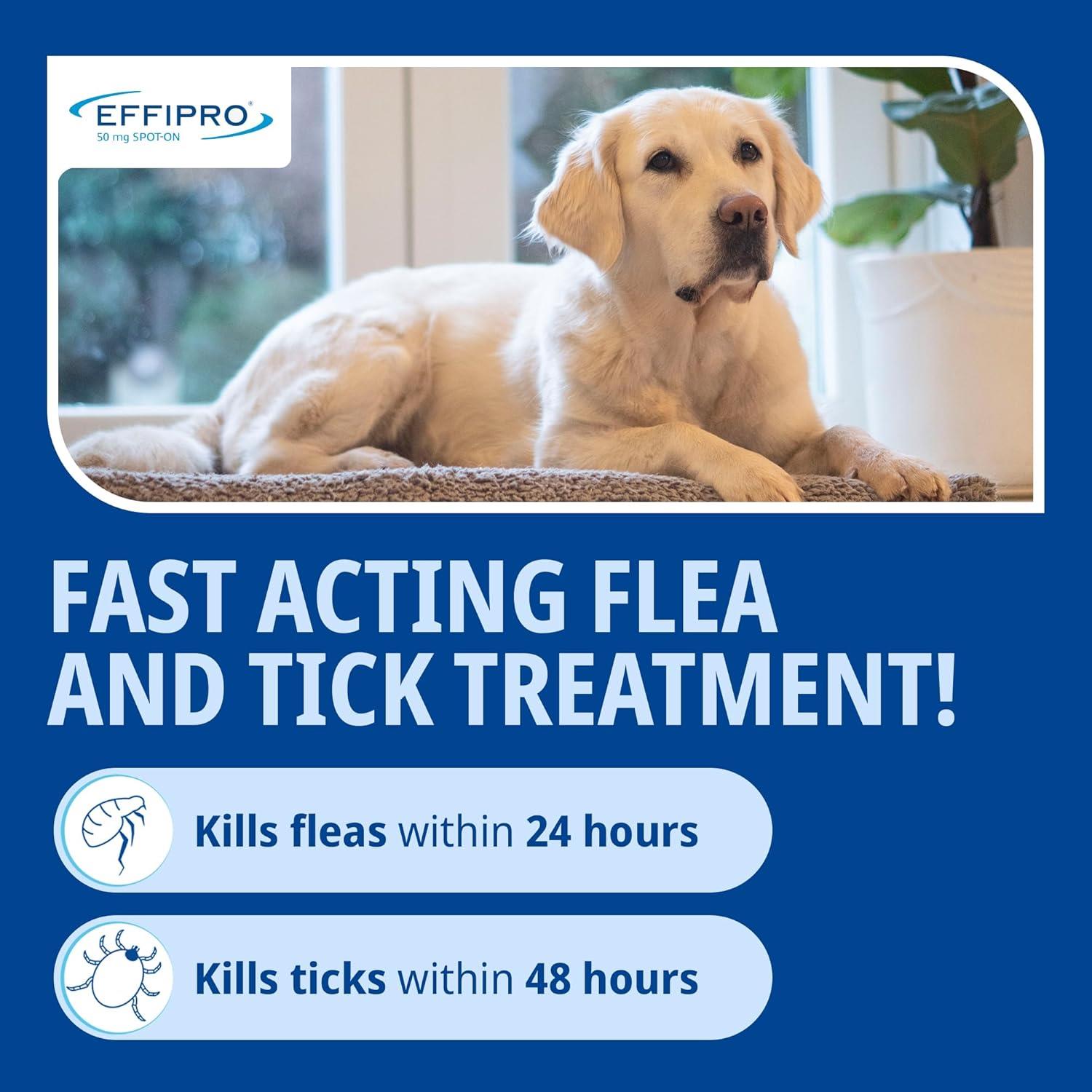 Spot On Flea Treatment AVM-GSL For Pets Cats & Dogs 4 Pipettes With Fipronil - Picture 33 of 61