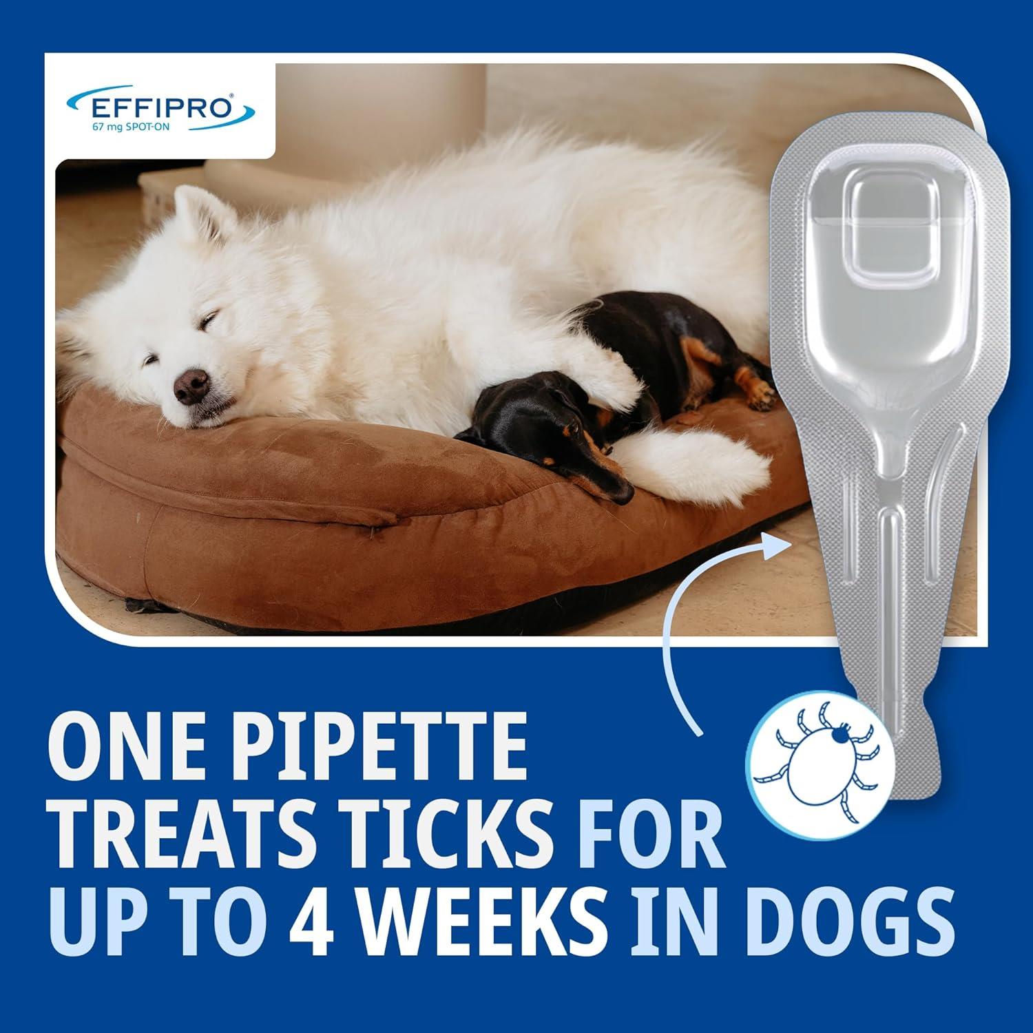 Spot On Flea Treatment AVM-GSL For Pets Cats & Dogs 4 Pipettes With Fipronil - Picture 36 of 61