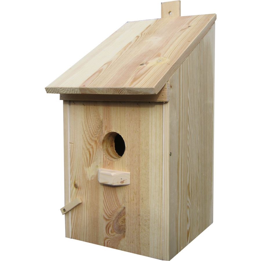 Handmade Extra Large Wooden Bird Nest Box 50mm Hole Traditional