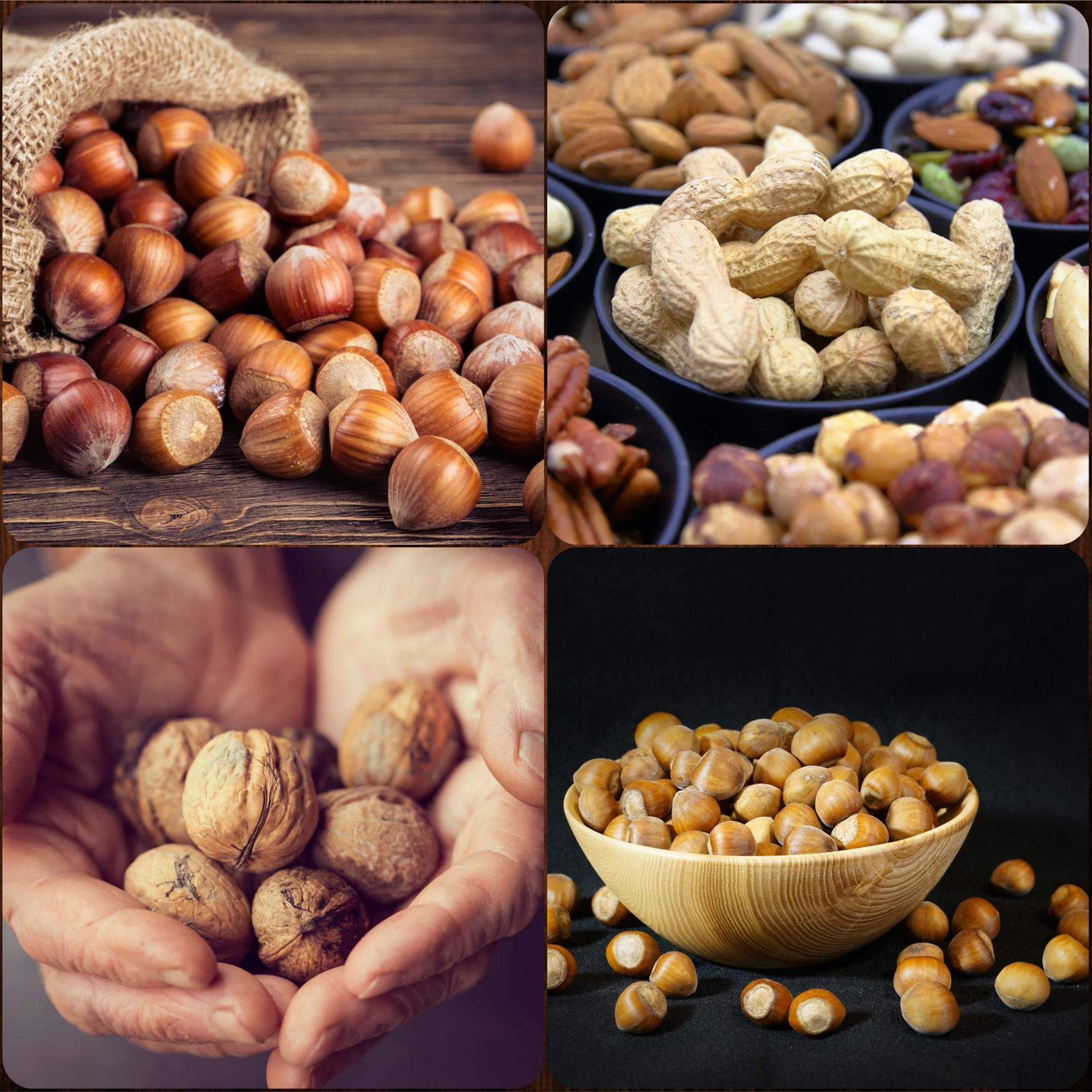 Cascanueces de madera regalo de Navidad cocina herramienta de madera nueces avellanas agrietadas - Imagen 36 de 37