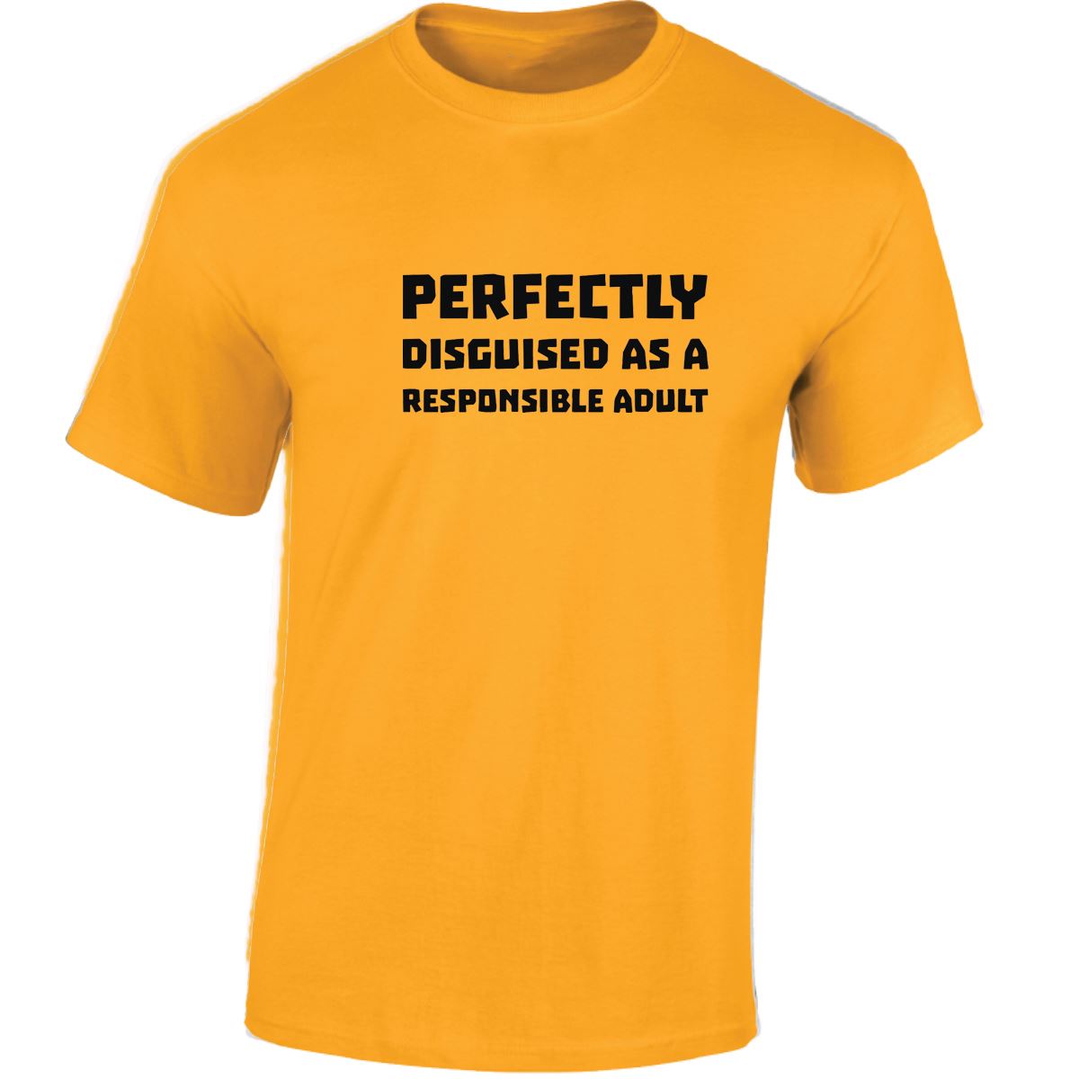 Perfectly Disguised As A Responsible Adult Funny Mens Womens T shirt Slogan Tee - Picture 11 of 48
