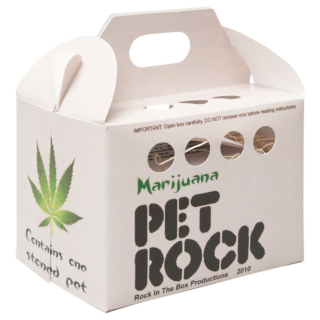 Pet Rocks Collectible 70s Fad Novelty Gift Collector's Item eBay