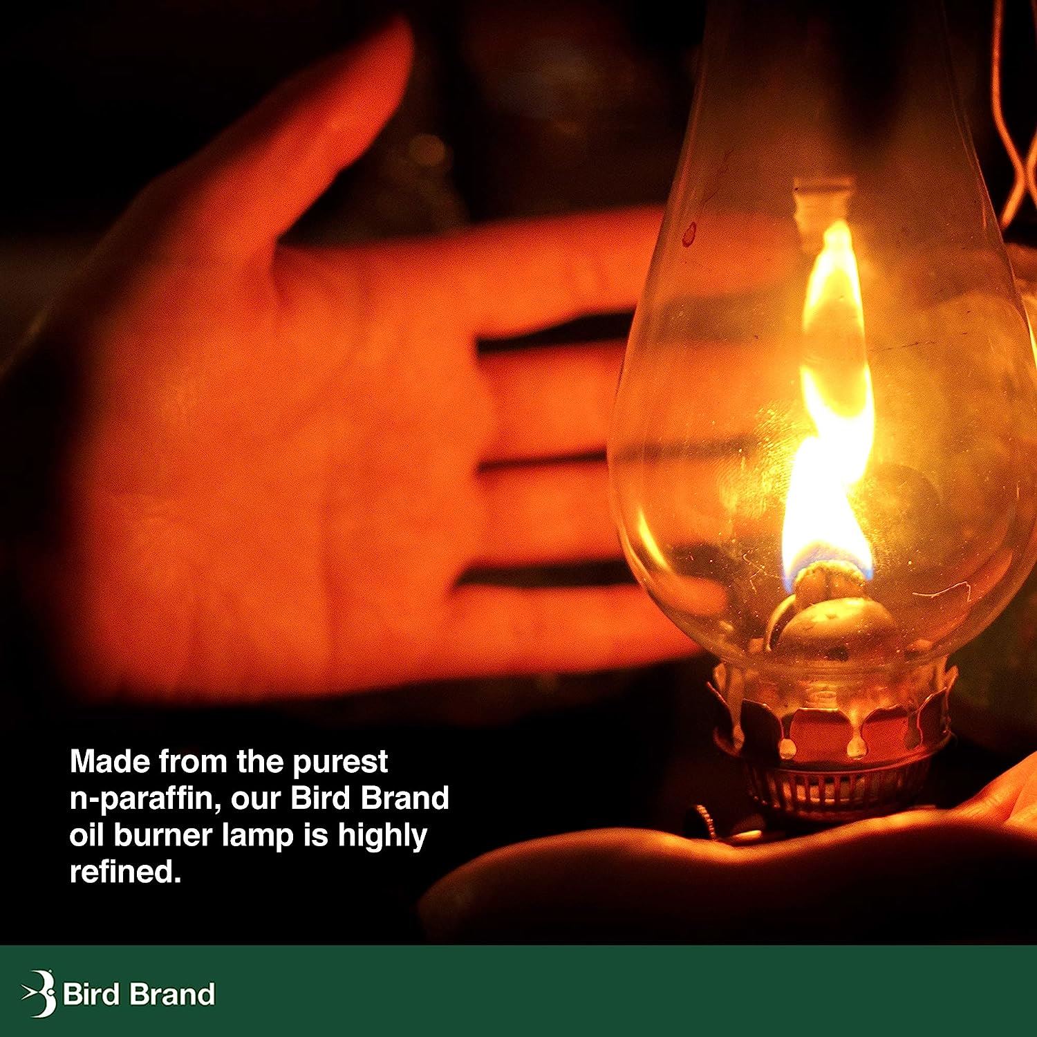 Bird Brand Clear Lamp Oil Indoor Outdoor Fuel Oil Lamps Burning Torches