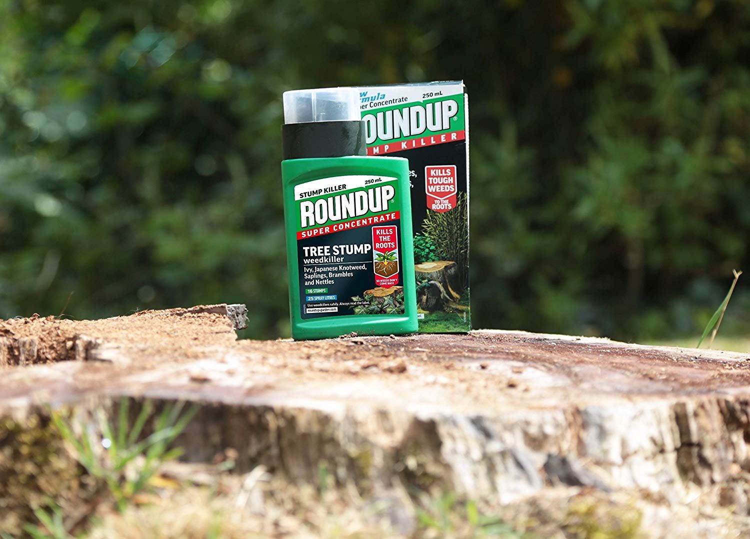 Roundup Tree Stump Root Killer 250ml Liquid Super Concentrate Weedkiller Nettles 744759094490 eBay