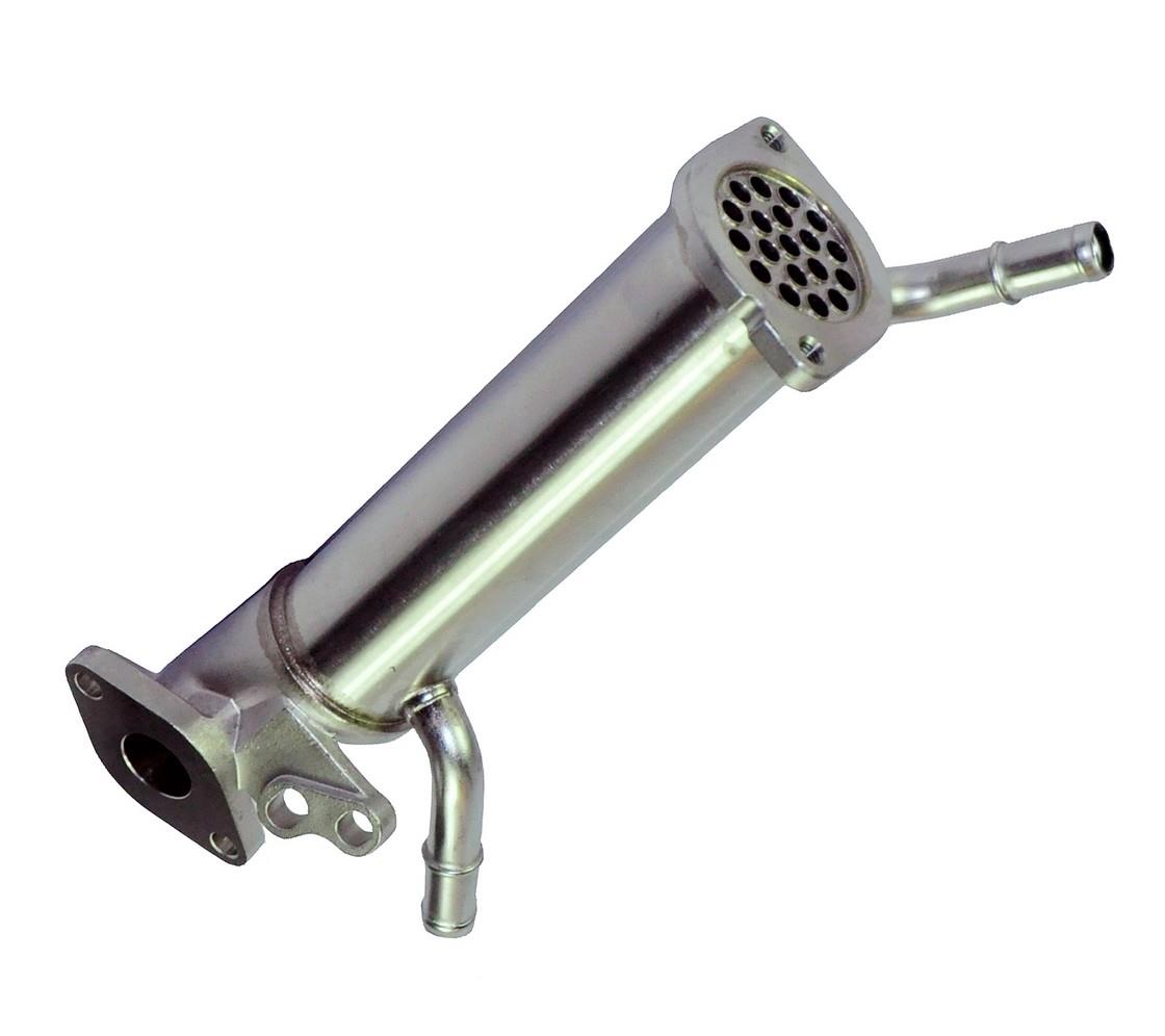 Citroen Peugeot Egr Valve Cooler My XXX Hot Girl