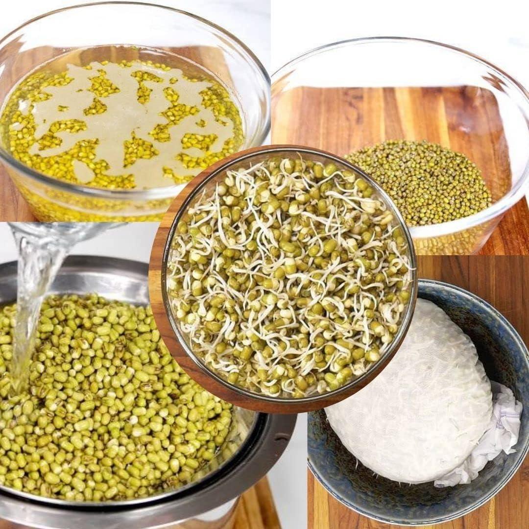 Aksoy Mung Beans - 1.25KG, 2.5KG, 5KG, 1.25KG - Produktbild 9