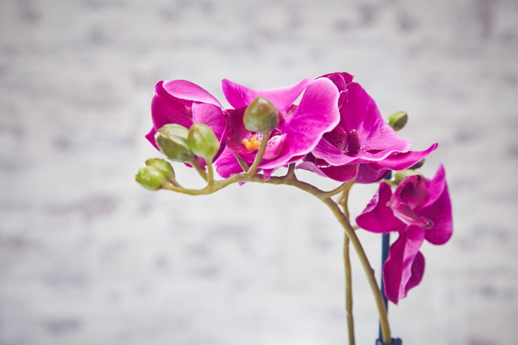 Artificial Flowers Plants Garden Home in Plastic Pot Artificial Flowers Plants Garden Home in Plastic Pot