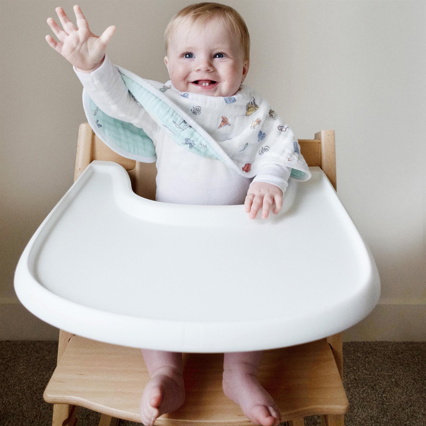 Aden + Anais ESSENTIALS BURPY BIB