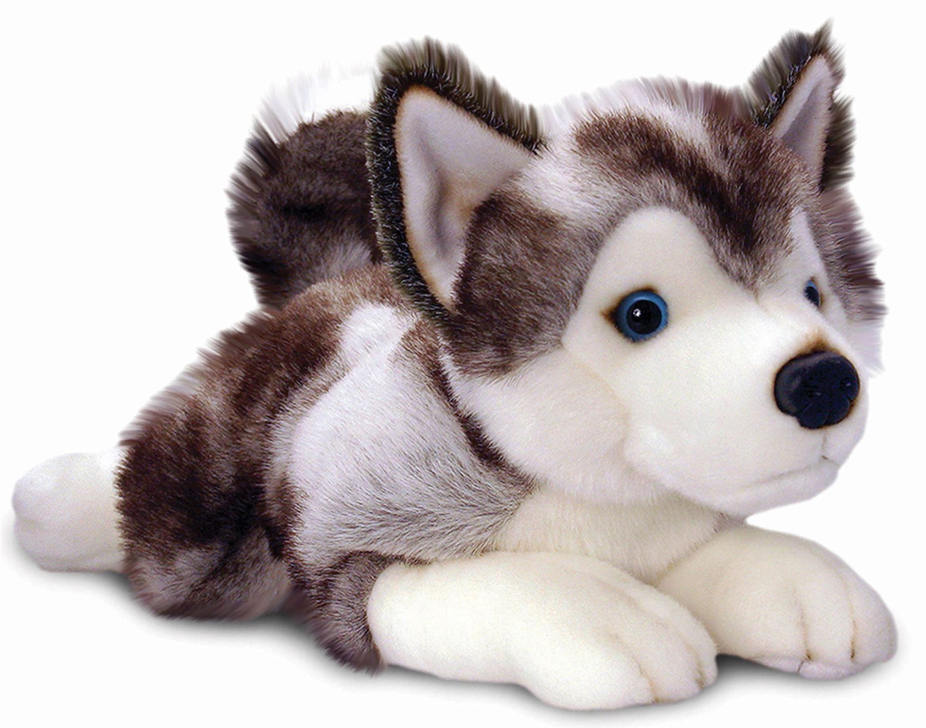 Best Dog Interactive Toy For Kids Best Dog Interactive Toy For Kids