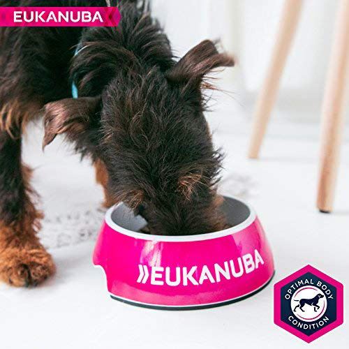 eukanuba developing junior large breed