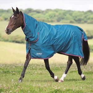 Shires Tempest original léger Combo participation tapis-Cobalt//Rouge
