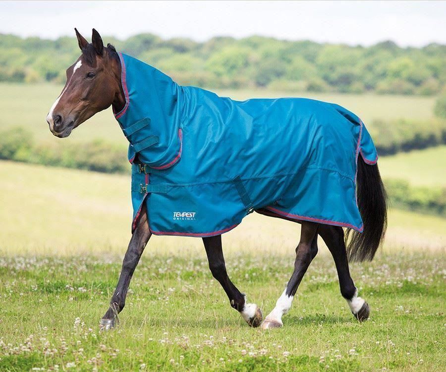 Shires Tempest original léger Combo participation tapis-Cobalt//Rouge
